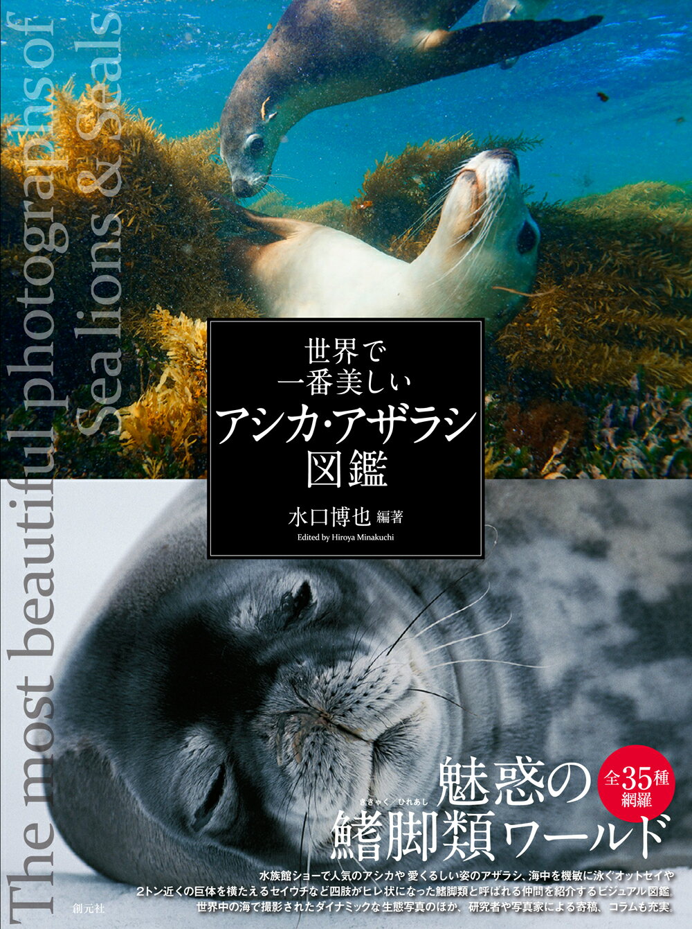 世界のアゲハチョウ図説　図鑑　アゲハ蝶　六本脚 世界のアゲハチョウ図説 / 中江信 - 紀伊國屋書店ウェブストア