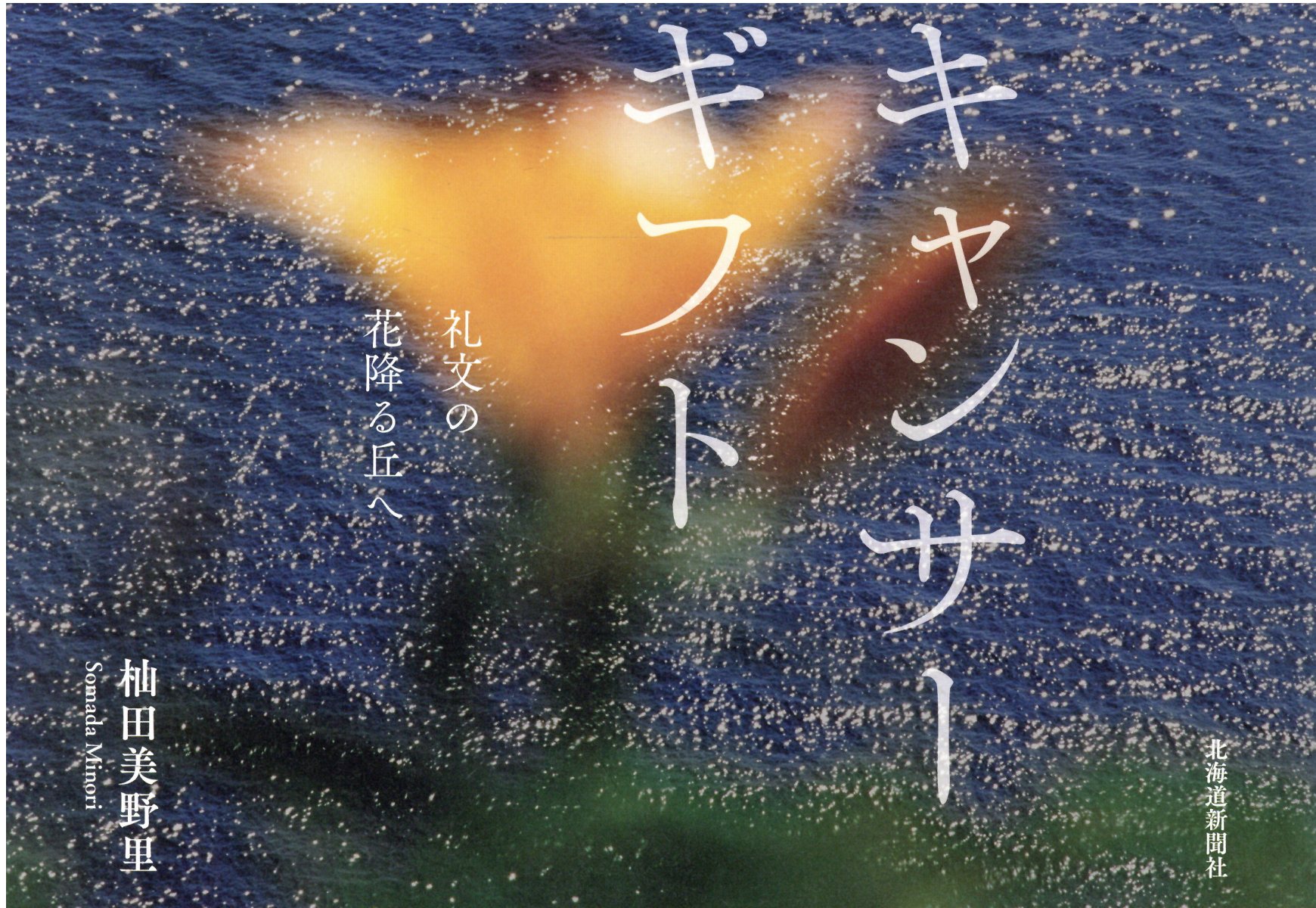楽天市場】書苑新社 さかしまのリリス 村田兼一写真集/アトリエサ-ド