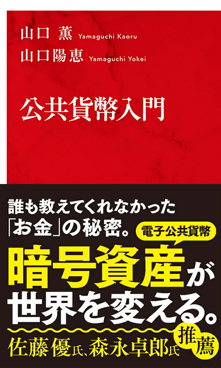 公共貨幣入門/集英社インタ-ナショナル/山口薫