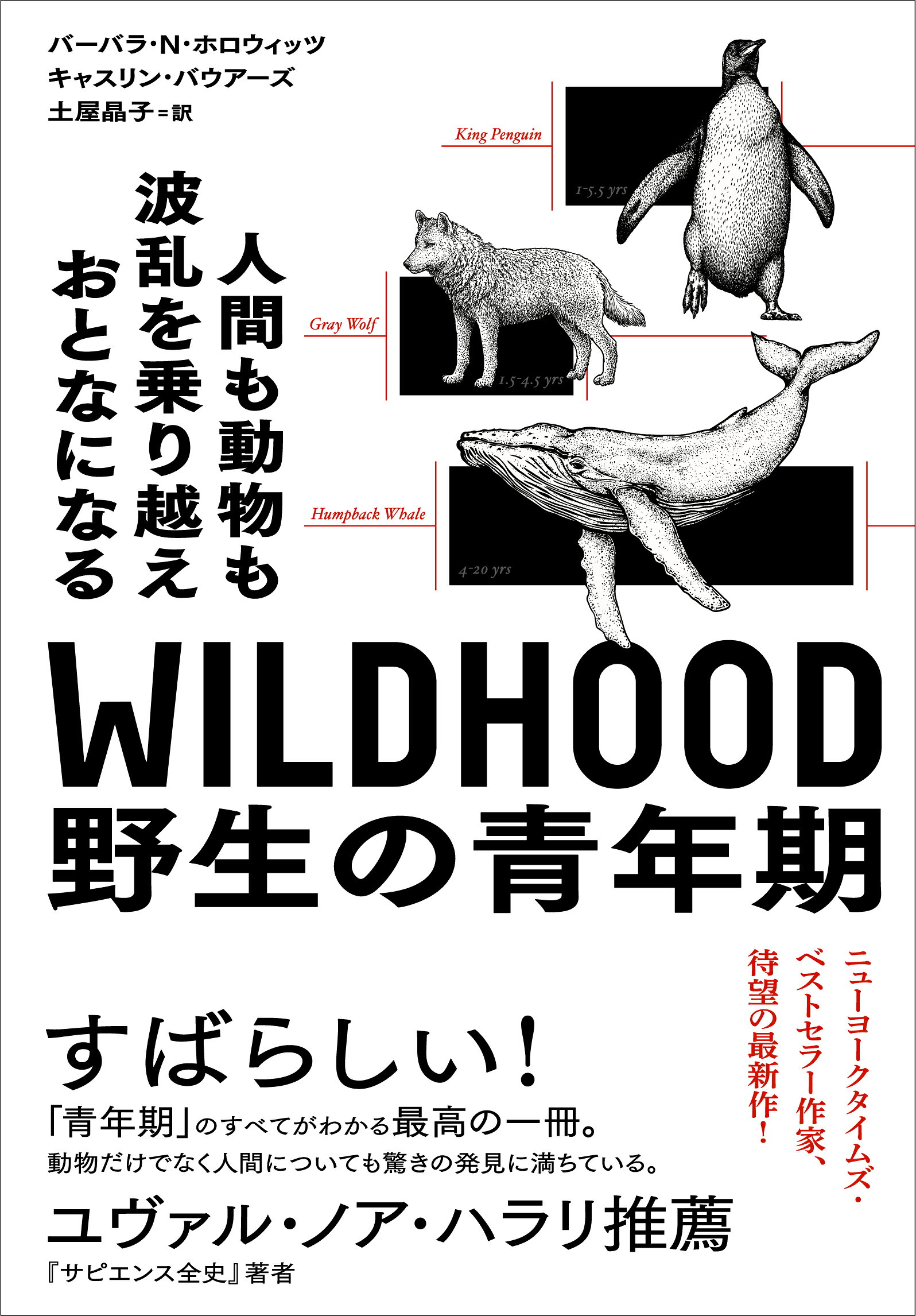ＷＩＬＤＨＯＯＤ野生の青年期 人間も動物も波乱を乗り越えおとなになる/白揚社/バーバラ・Ｎ．ホロウィッツ