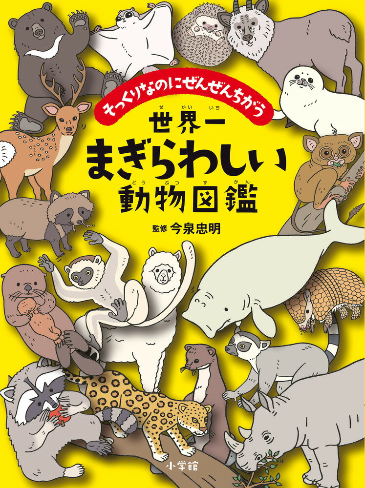世界一まぎらわしい動物図鑑 そっくりなのにぜんぜんちがう/小学館/今泉忠明