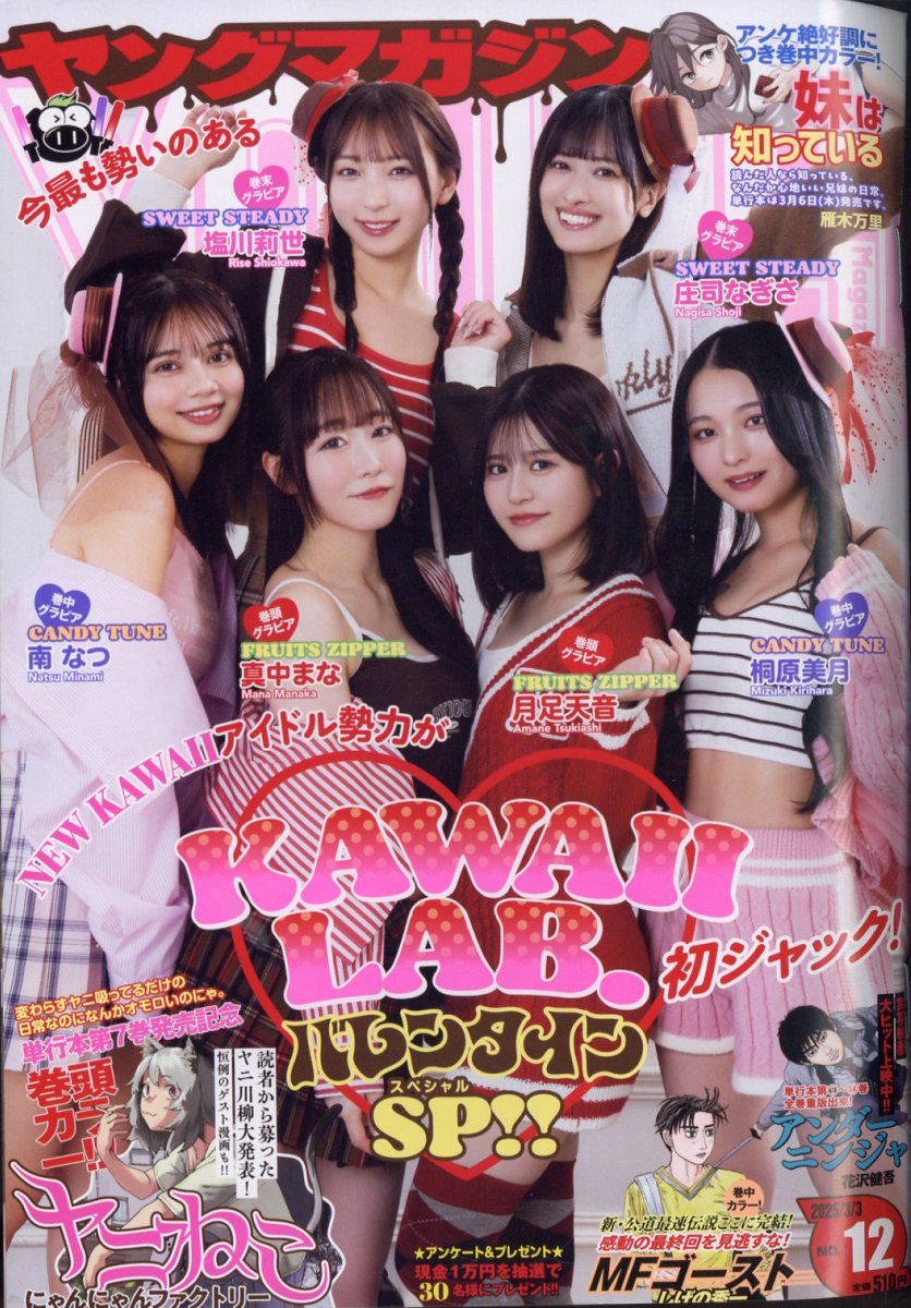 ヤングマガジン 2025年 3/3号 [雑誌]/講談社