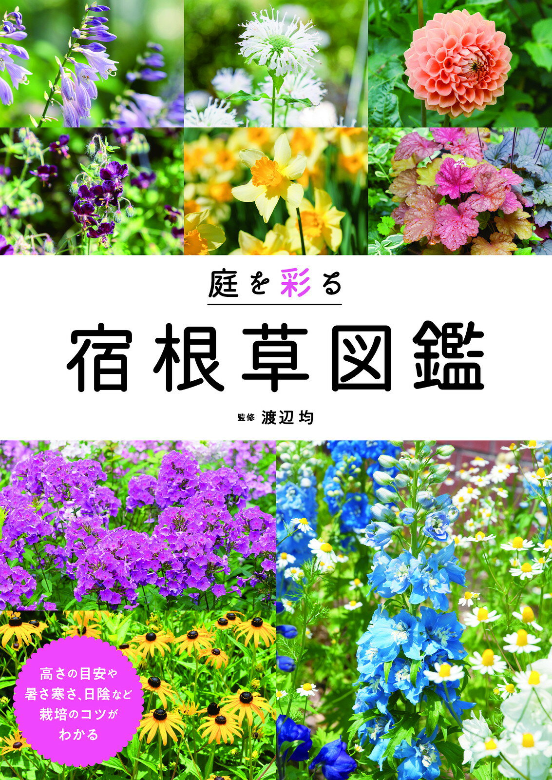 庭を彩る宿根草図鑑/新星出版社/渡辺均
