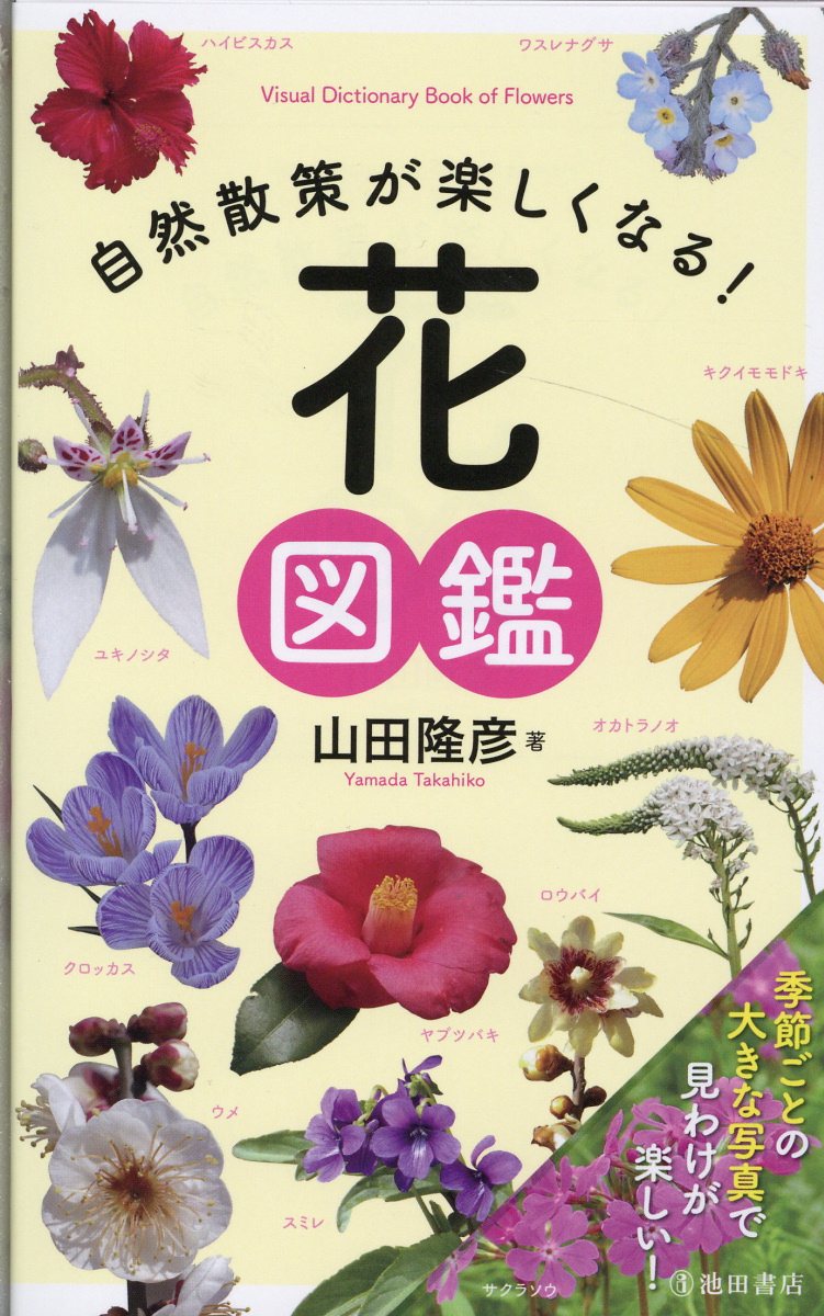 楽天市場】至文堂 植物学ラテン語辞典/至文堂/豊国秀夫 | 価格比較