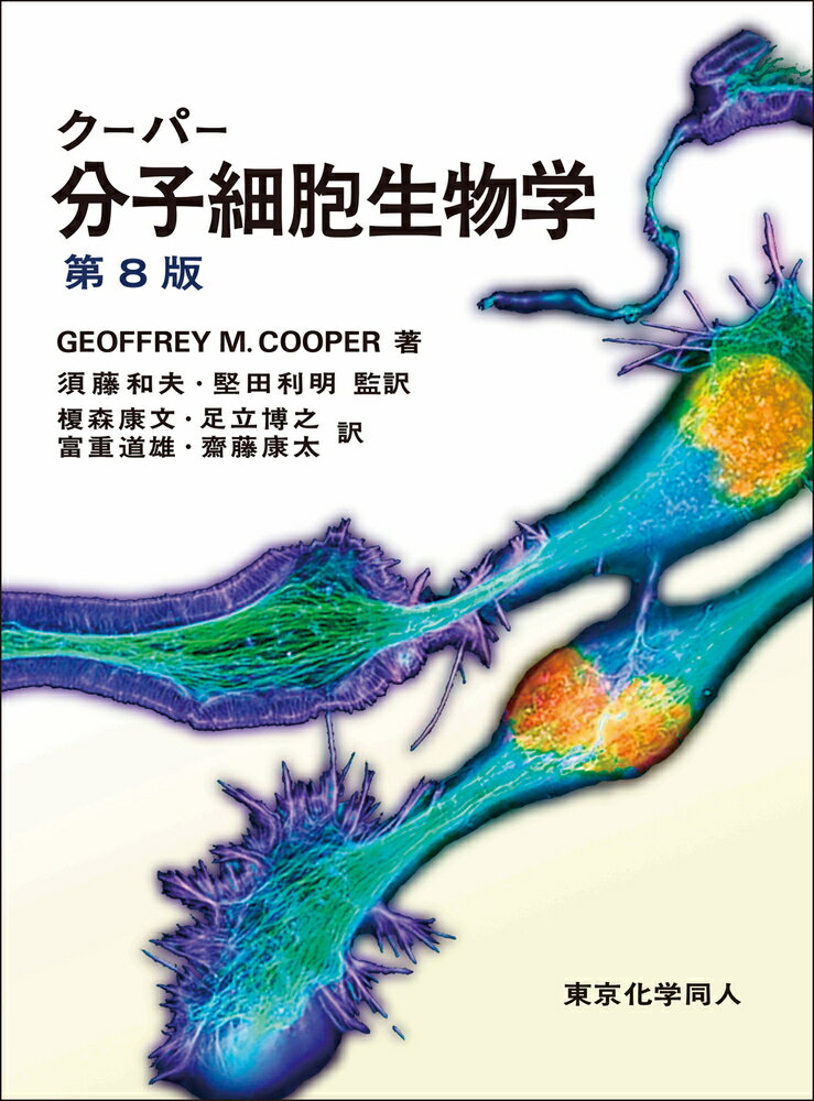 分子細胞生物学 第9版 東京化学同人 楽天市場】東京化学同人 分子細胞生物学 第9版/東京化学同人/ハーヴィ