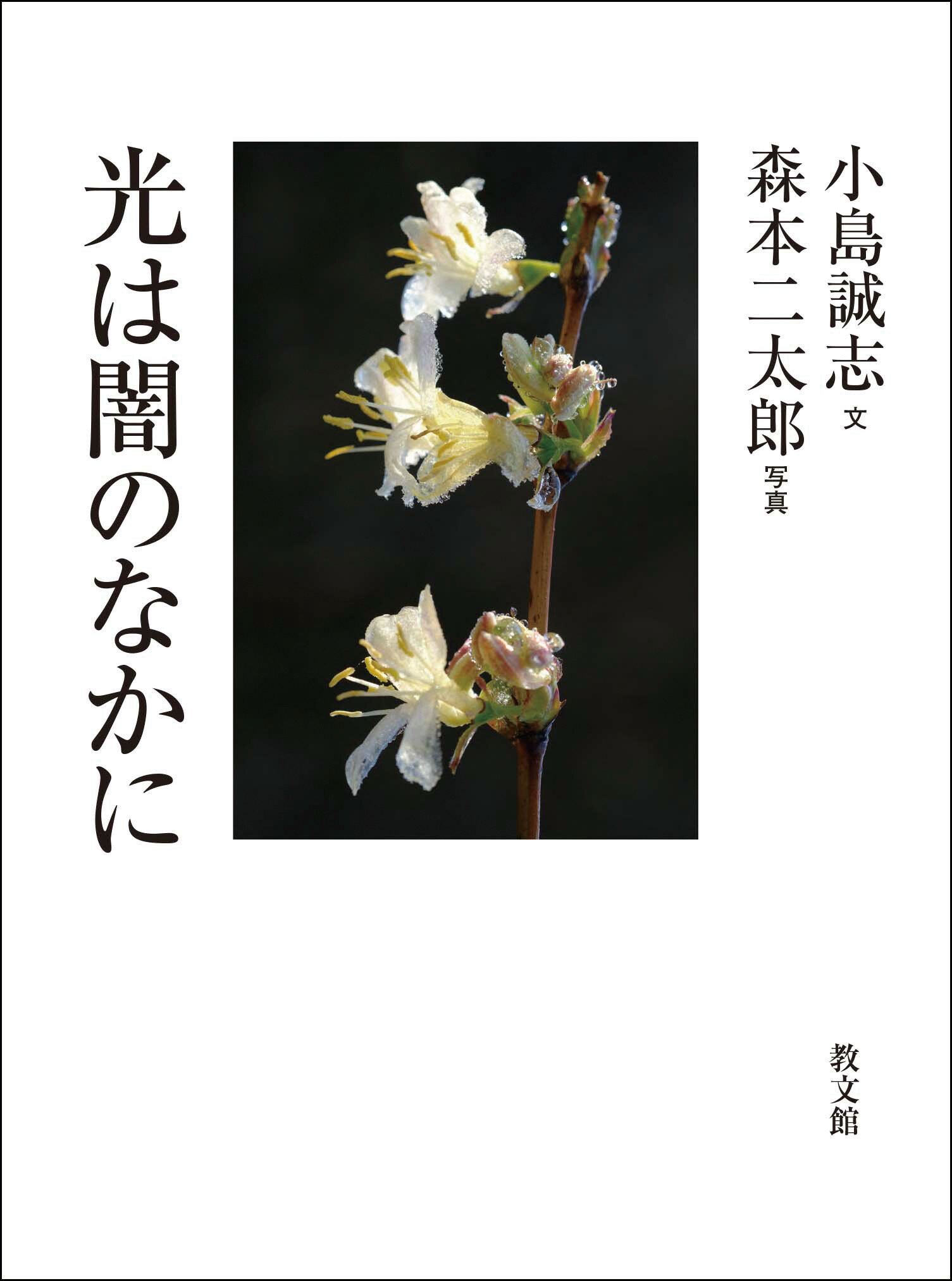 【中古】 聖書がわかれば世界が読める Ｂｉｂｌｅ　ｒｅａｌｉｔｙ/岳陽舎/石井希尚 楽天市場】岳陽舎 聖書がわかれば世界が読める Bible