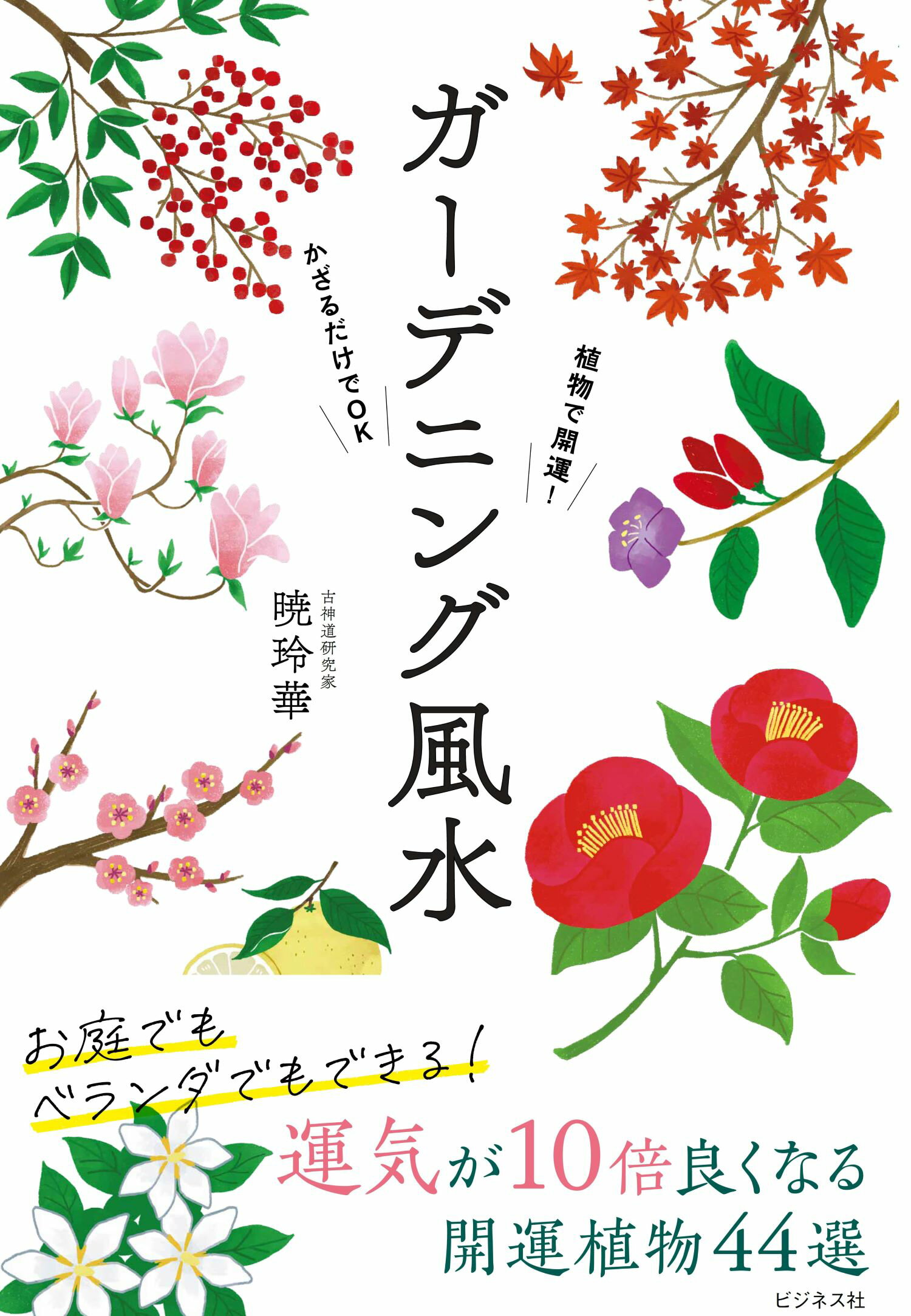 楽天市場】主婦の友社 スピリチュアルタロット入門 決定版