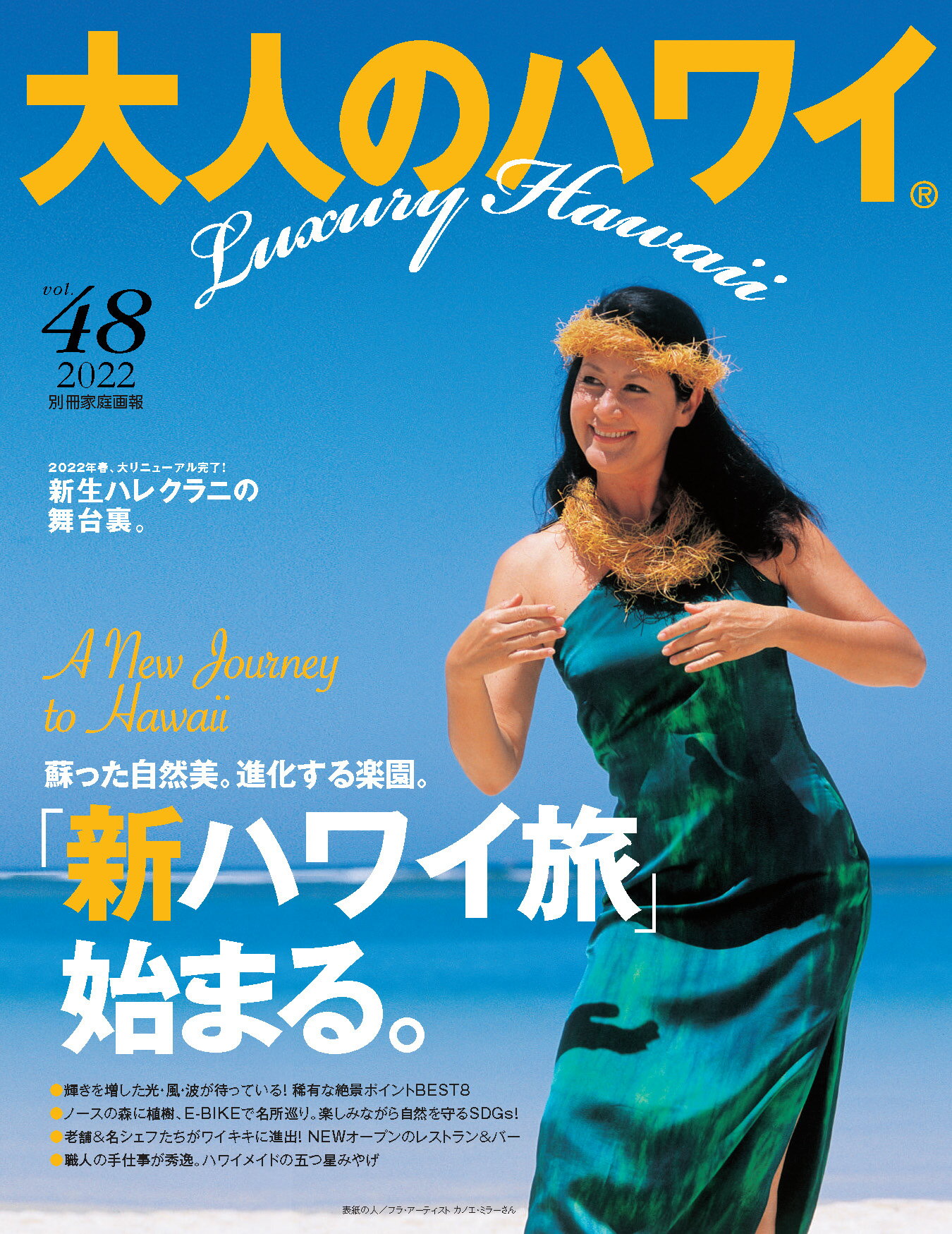 中古】 大人のハワイ vol．5（2007）/LUX WAVE