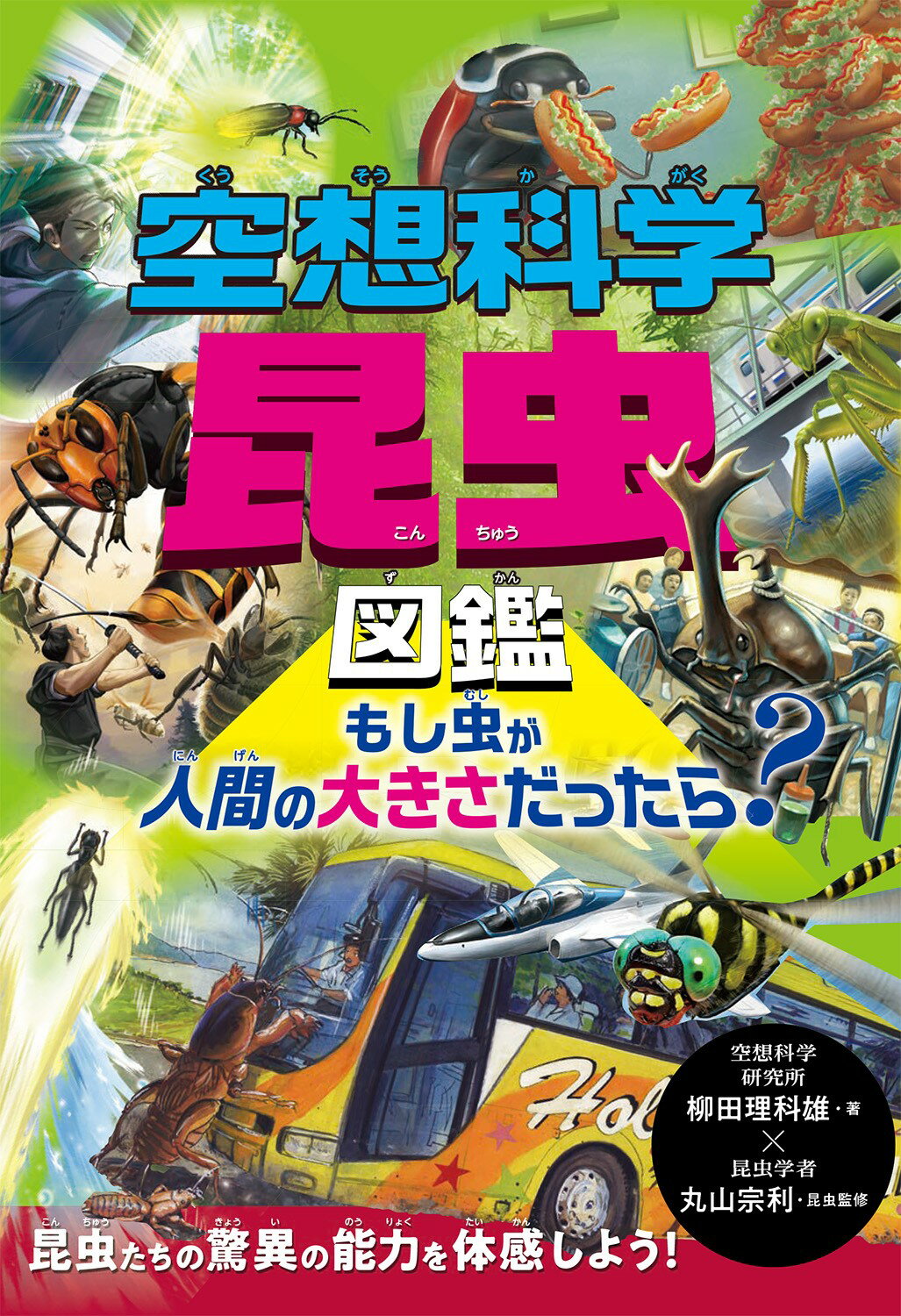 進化がわかる動物図鑑 モグラ・コウモリ・アルマジロ/ほるぷ出版/ネイチャ-・プロ編集室（単行本） 進化がわかる動物図鑑 モグラ・コウモリ・アルマジロ 中古本