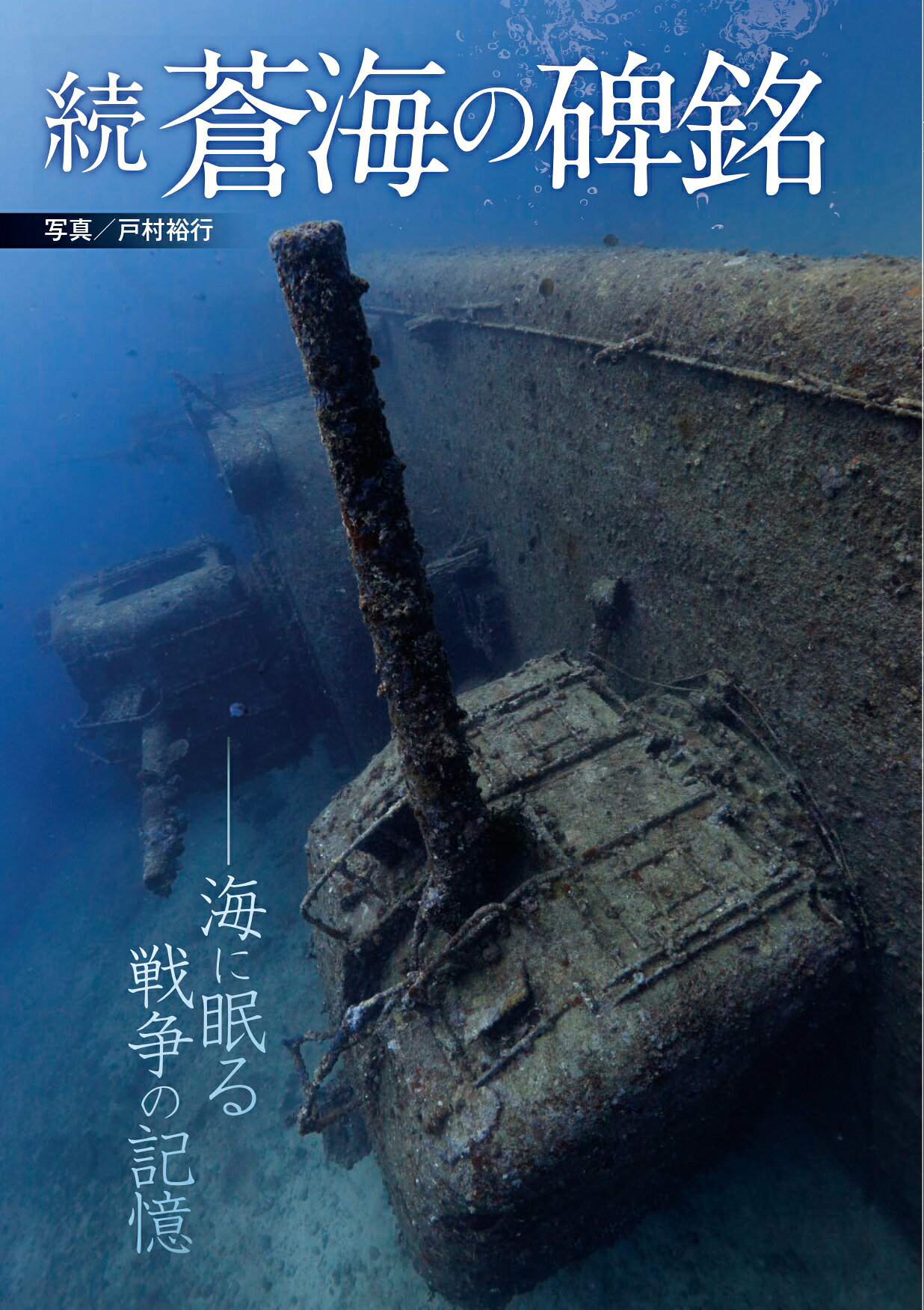 楽天市場】大日本絵画 日本陸軍の航空母艦 舟艇母船から護衛空母まで