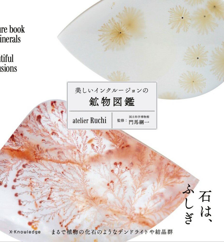 楽天市場】朝倉書店 熱河生物群化石図譜 羽毛恐竜の時代/朝倉書店/張弥