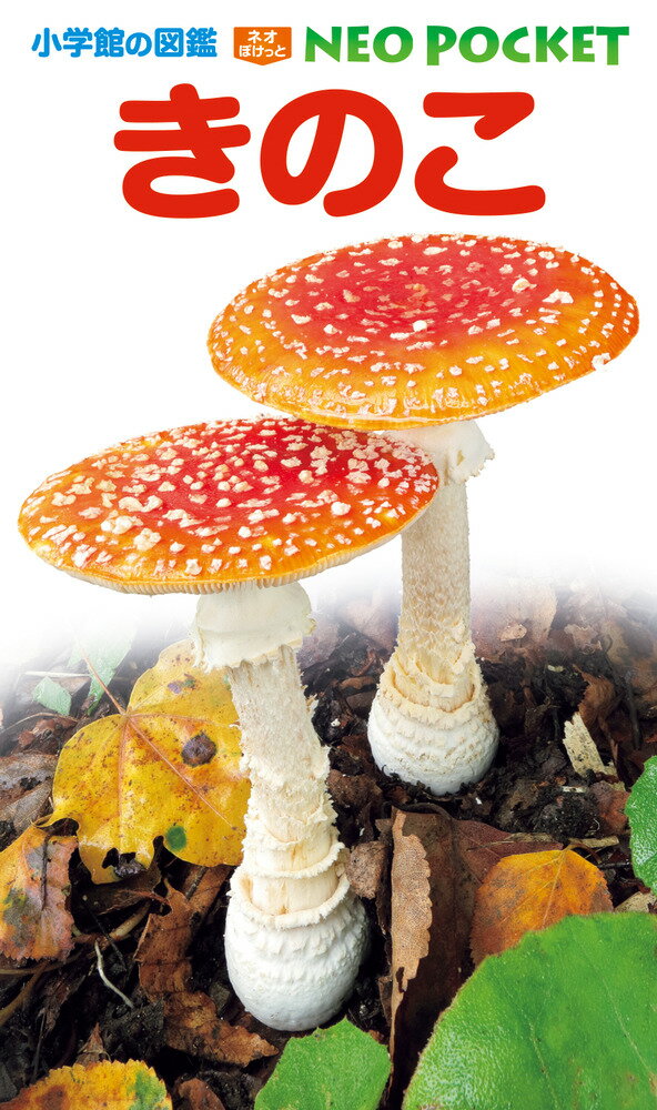 楽天市場】山と渓谷社 くらべてわかるきのこ 原寸大/山と渓谷社/大作