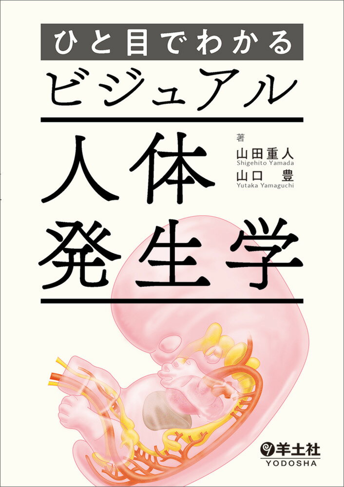 ラングマン人体発生学 第12版 ラングマン人体発生学 第12版（原著第15版） / Anatomy 今日も