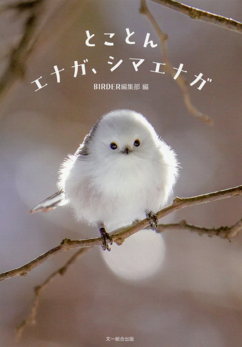 楽天市場】文一総合出版 とことんエナガ、シマエナガ/文一総合出版
