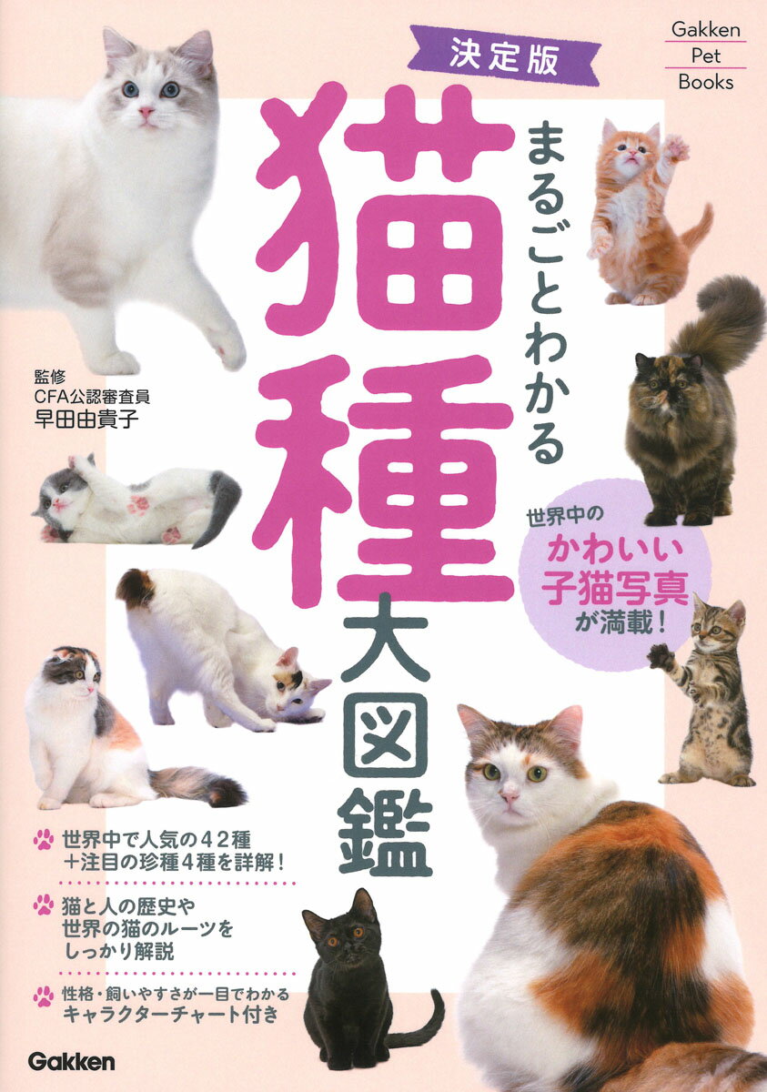 楽天市場】イラストを読む！犬と猫の臨床外科 一次診療いますぐ