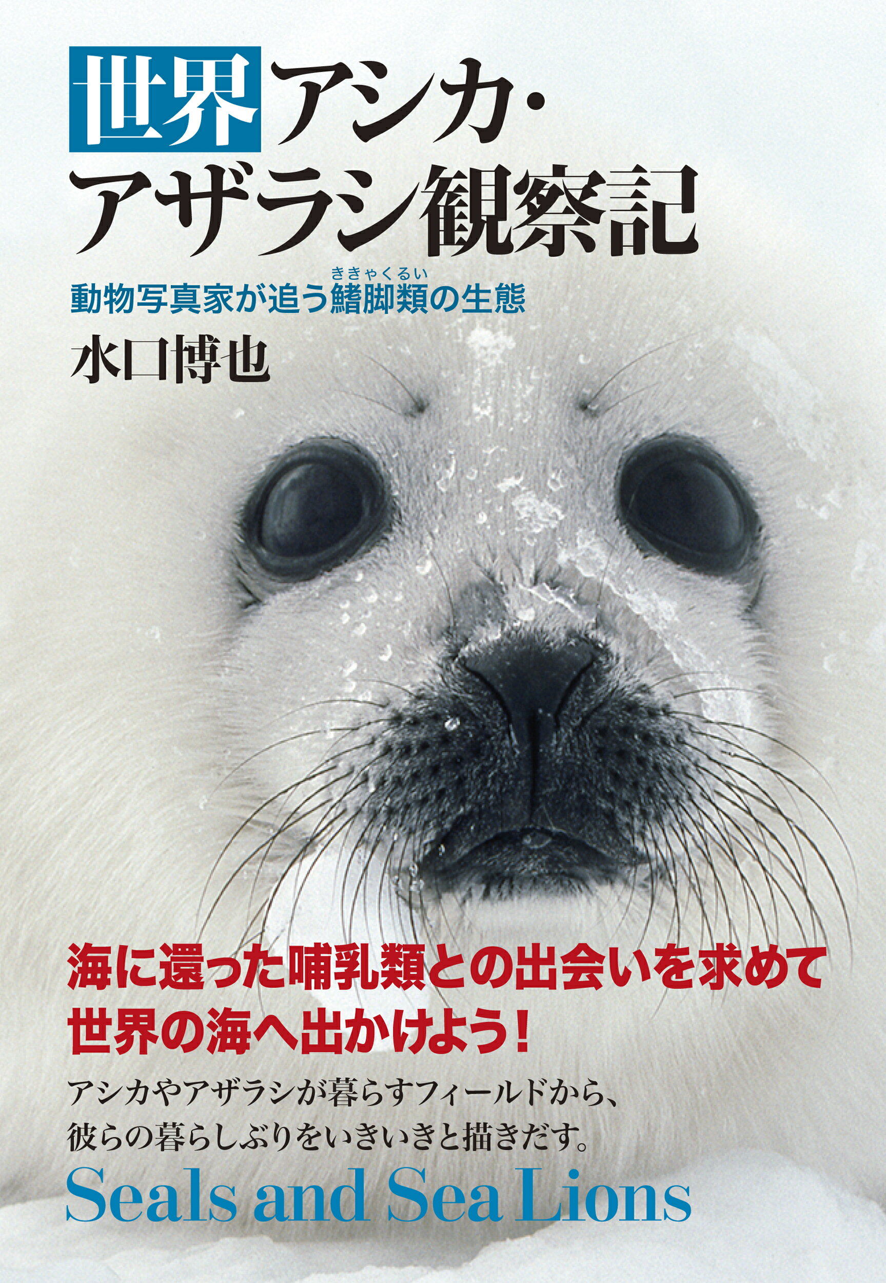 世界アシカ・アザラシ観察記 動物写真家が追う鰭脚類の生態/東京大学出版会/水口博也