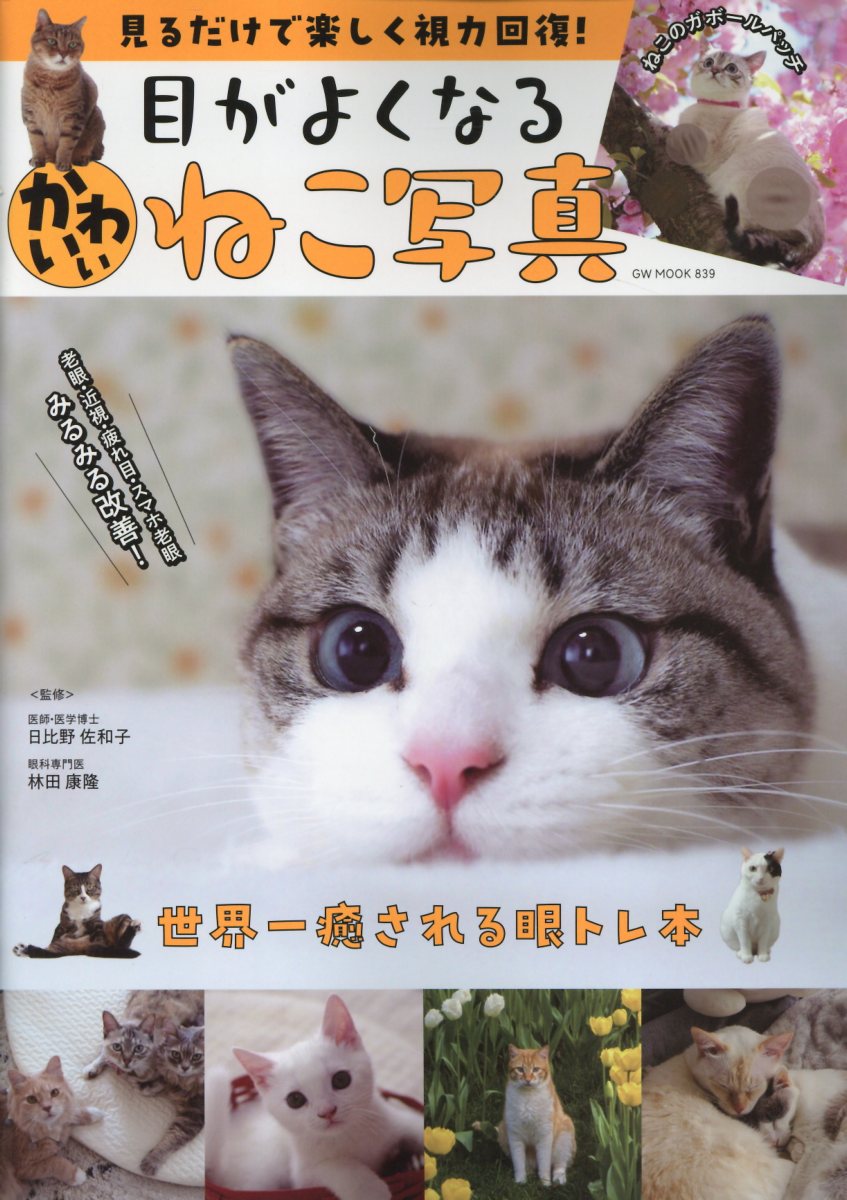 見るだけで楽しく視力回復！目がよくなるかわいいねこ写真/ガイドワ-クス/日比野佐和子