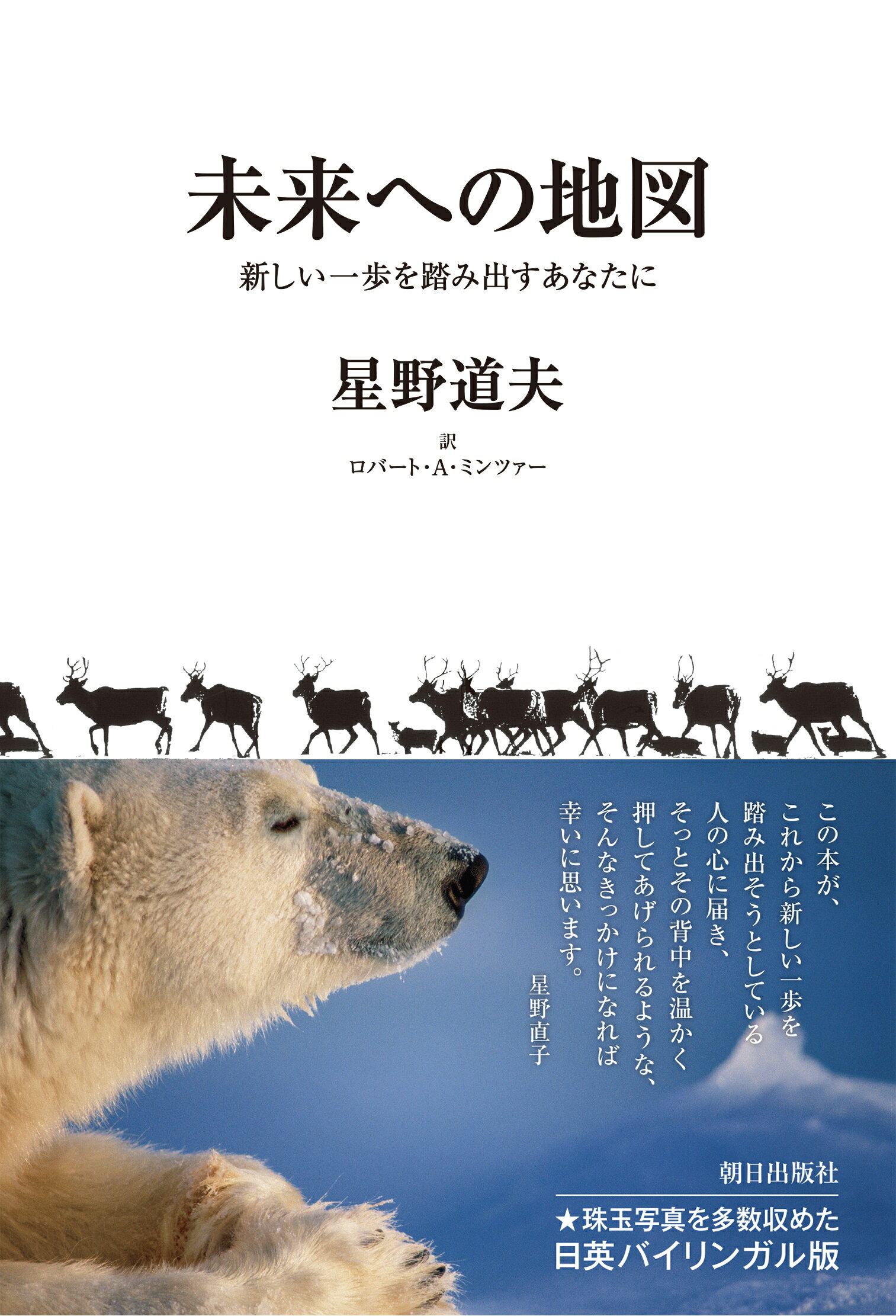 未来への地図/朝日出版社/星野道夫