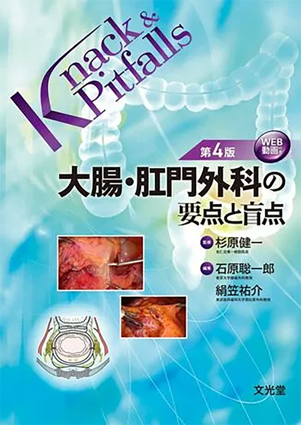 楽天市場】文光堂 胆道外科の要点と盲点 第2版/文光堂/二村雄次