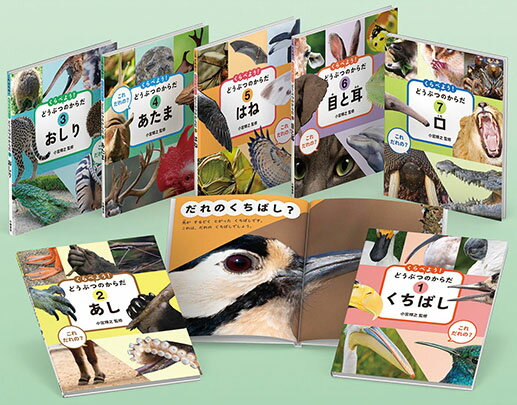 教科書にのってるどうぶつの赤ちゃん　全6巻セット 楽天市場】偕成社 教科書にのってるどうぶつの赤ちゃん（全6巻