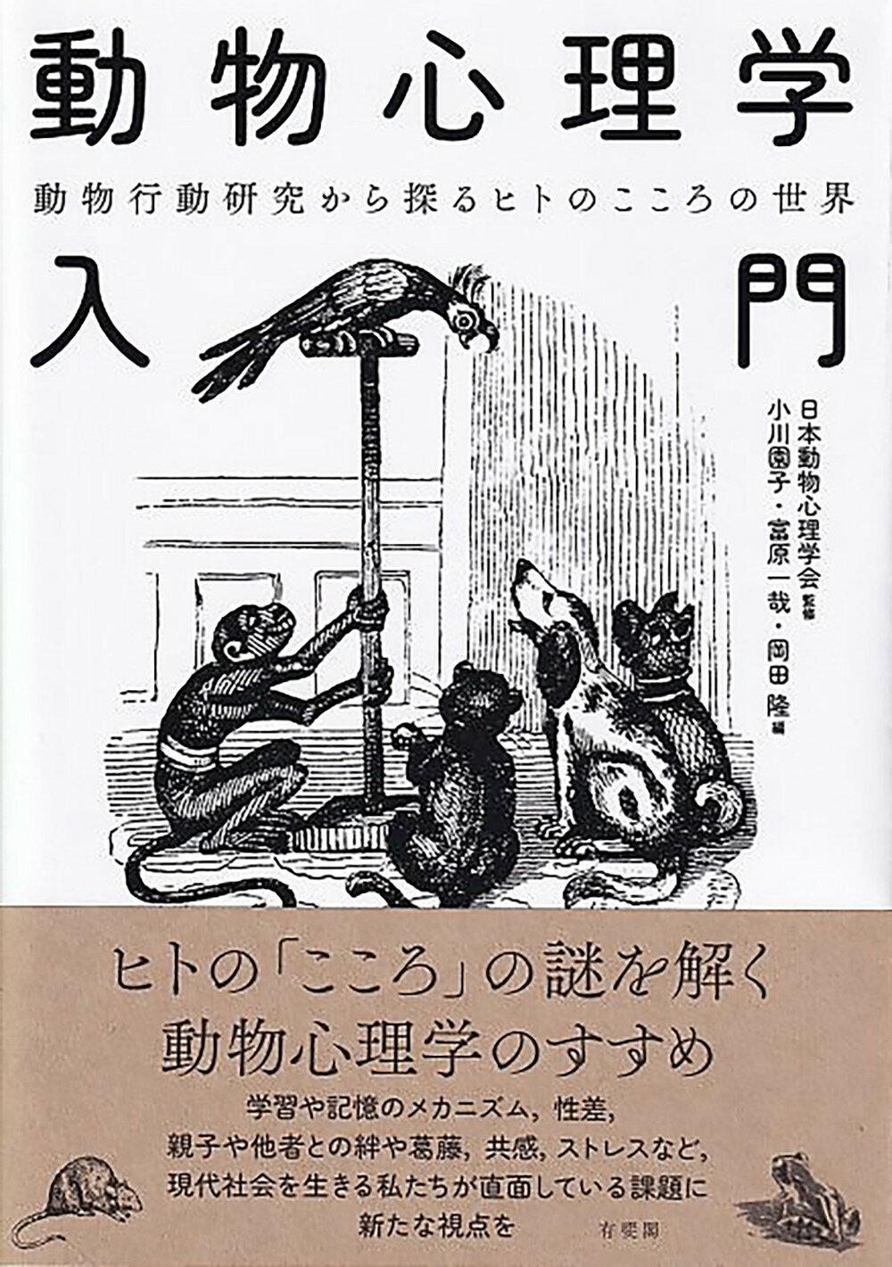 楽天市場】サイエンス社 生態学的視覚論 ヒトの知覚世界を探る