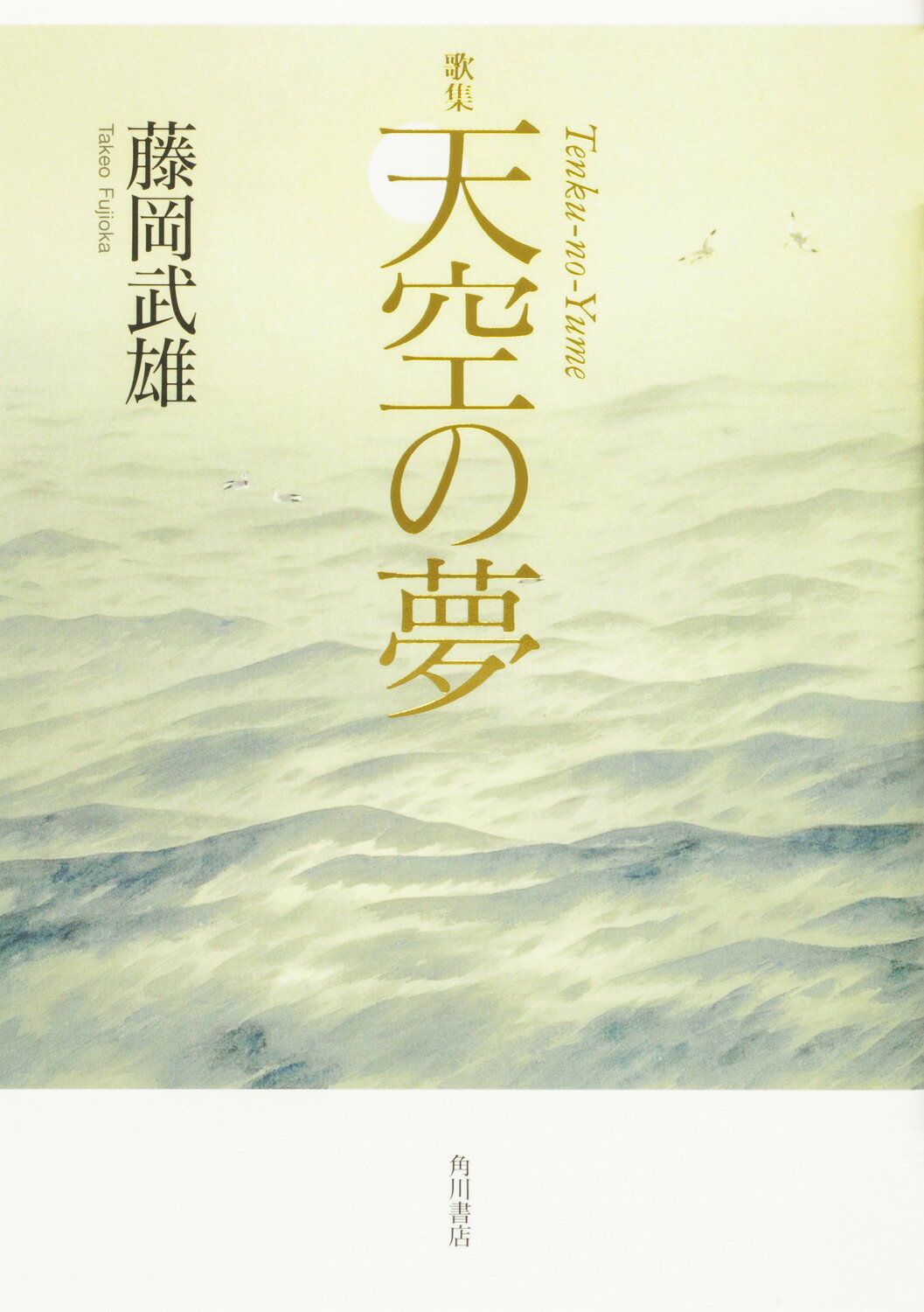 天空の夢 歌集/角川文化振興財団/藤岡武雄