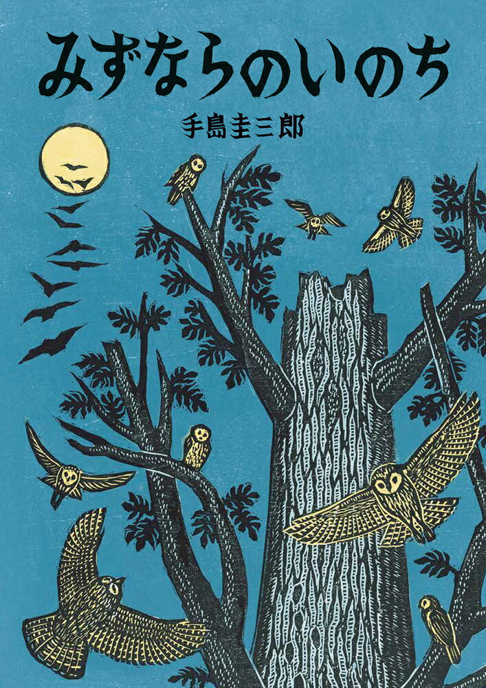 しまふくろうのみずうみ ビックブック Amazon.co.jp: しまふくろうのみずうみ (北の森から) : 手島