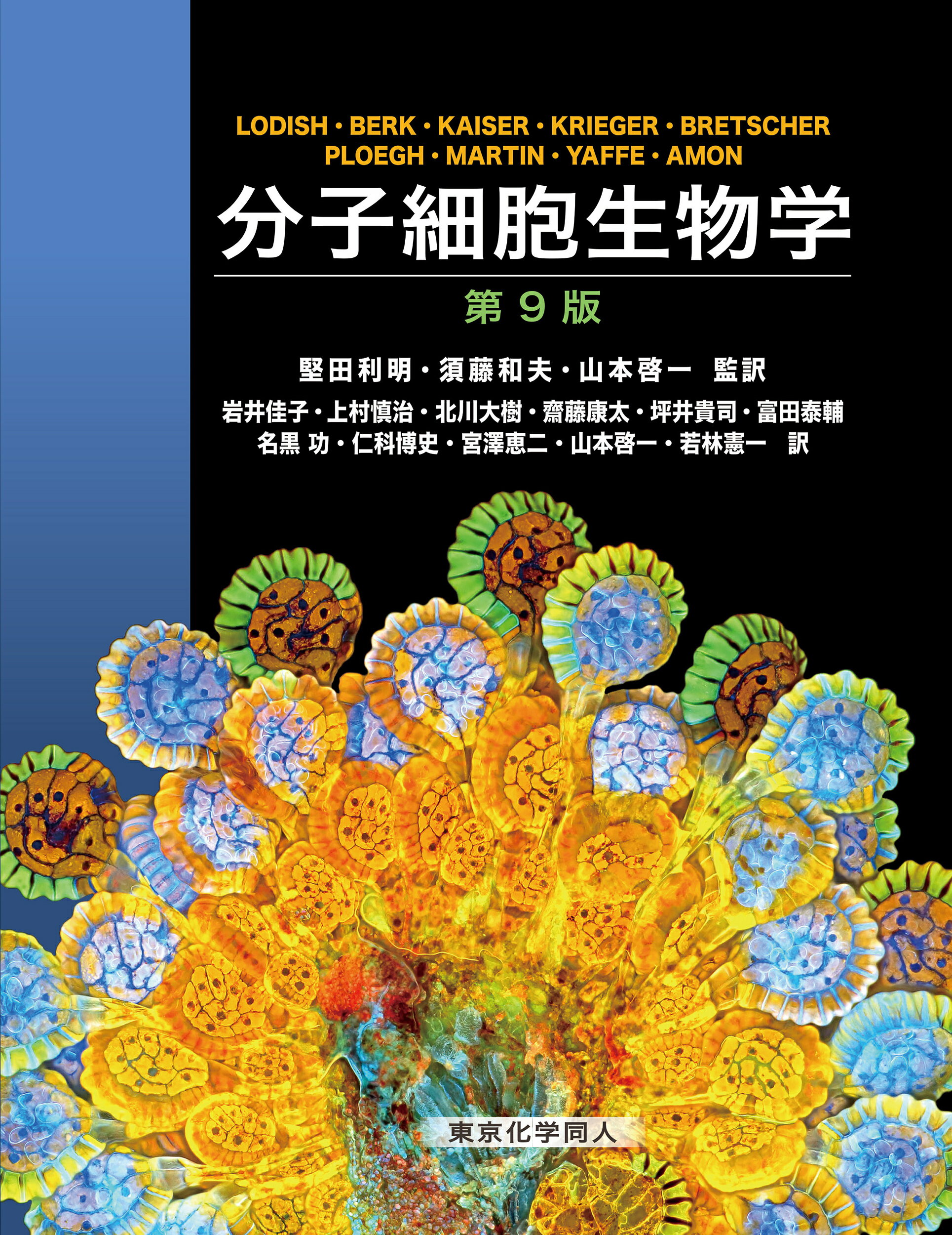 楽天市場】東京化学同人 分子細胞生物学 第6版/東京化学同人/ハ