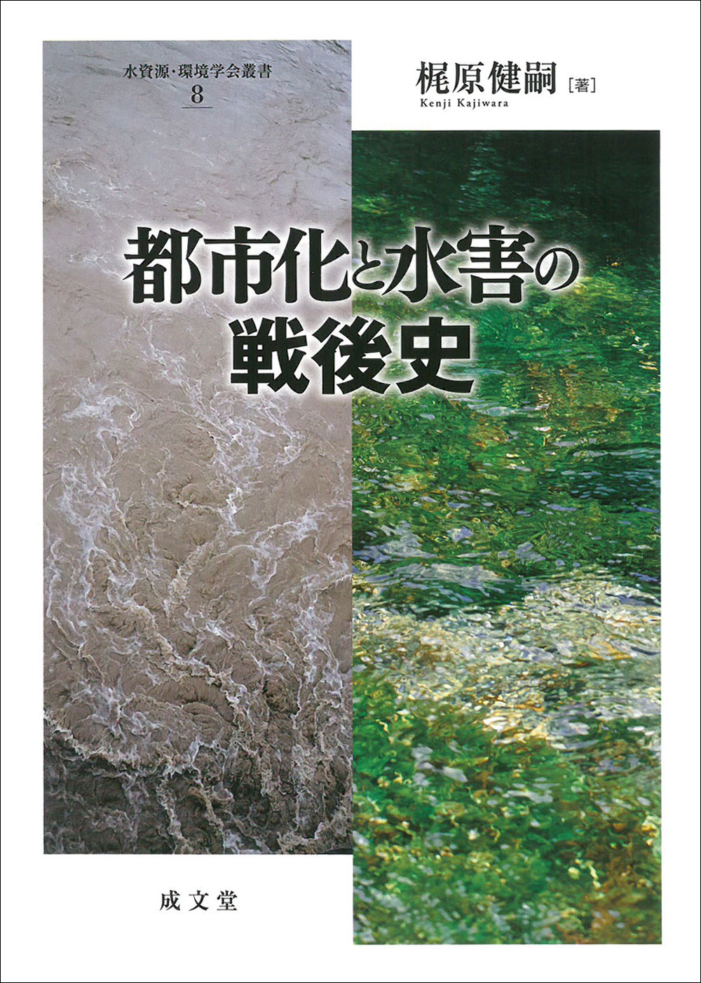 楽天市場】成文堂 都市化と水害の戦後史/成文堂/梶原健嗣 | 価格比較