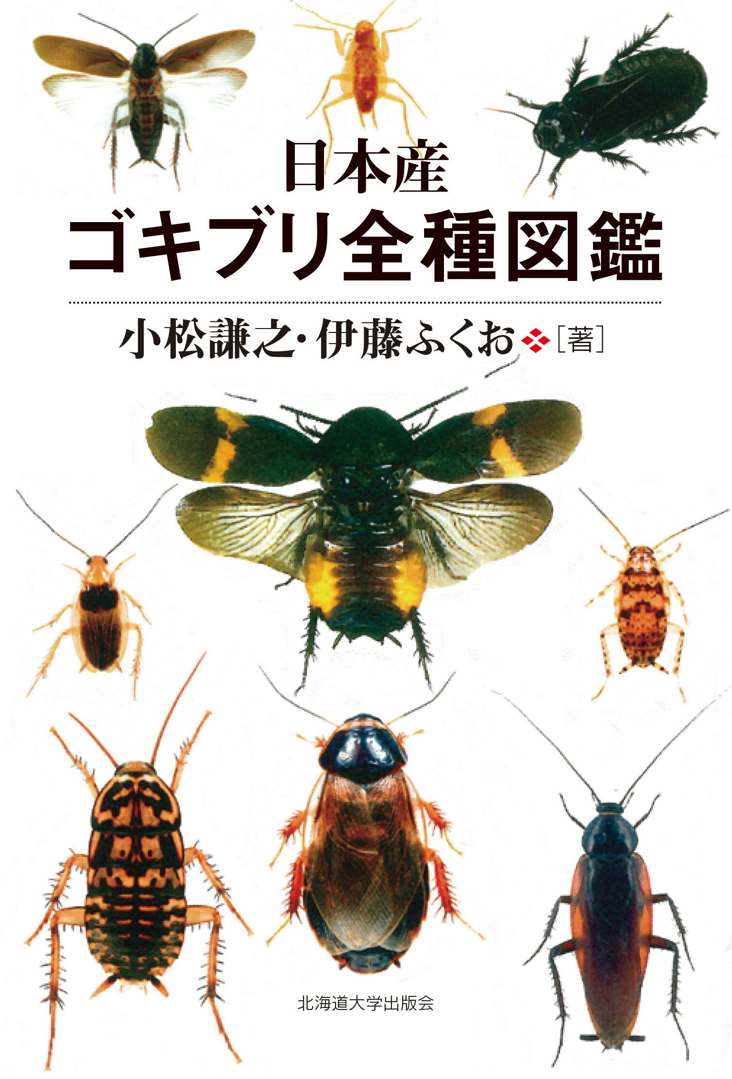 クワガタ・カブトムシ飼育本2冊セット 外国産大図鑑／飼育スーパー