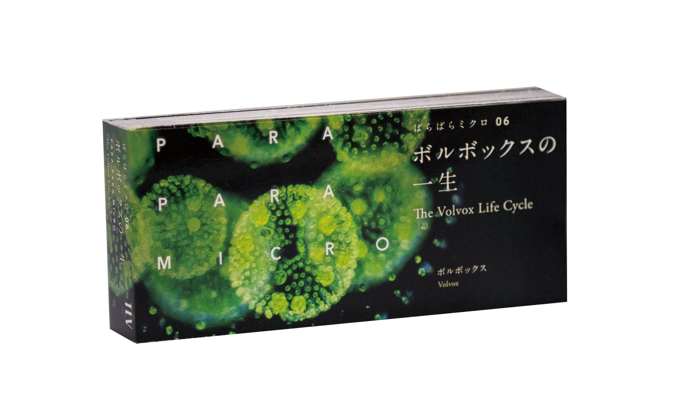 楽天市場】至文堂 植物学ラテン語辞典/至文堂/豊国秀夫 | 価格比較