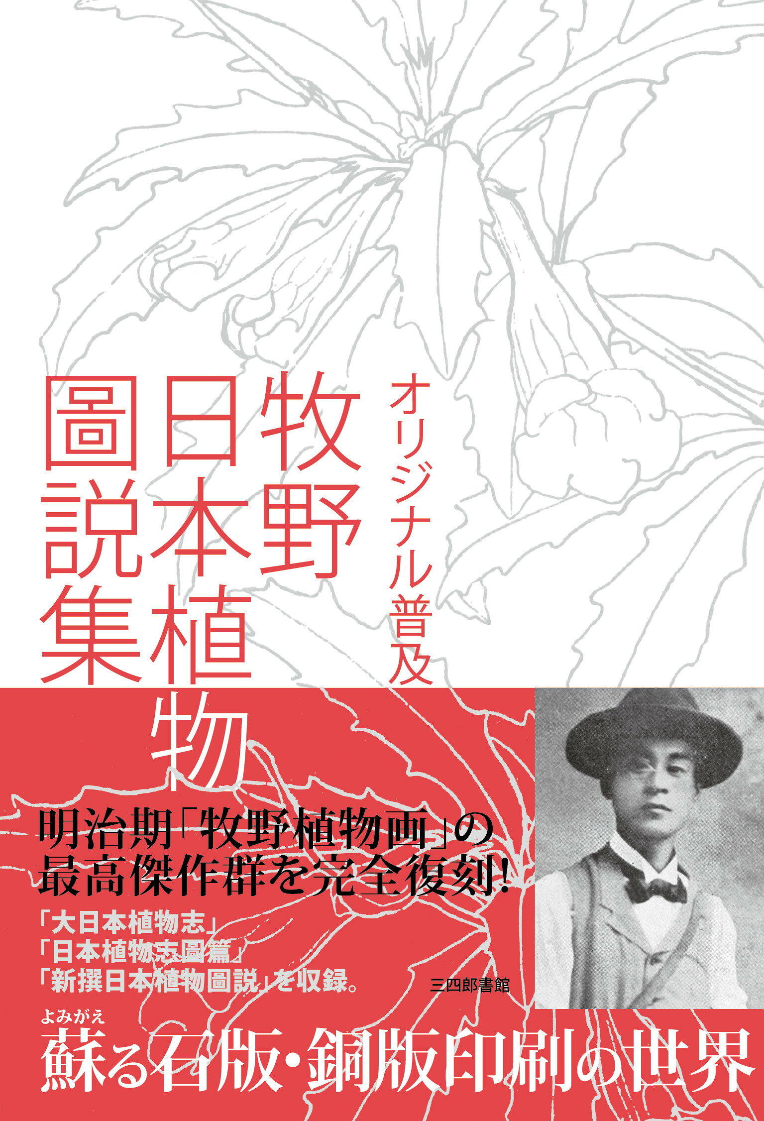 楽天市場】北隆館 牧野植物図鑑原図集 牧野図鑑の成立/北隆館/牧野図鑑