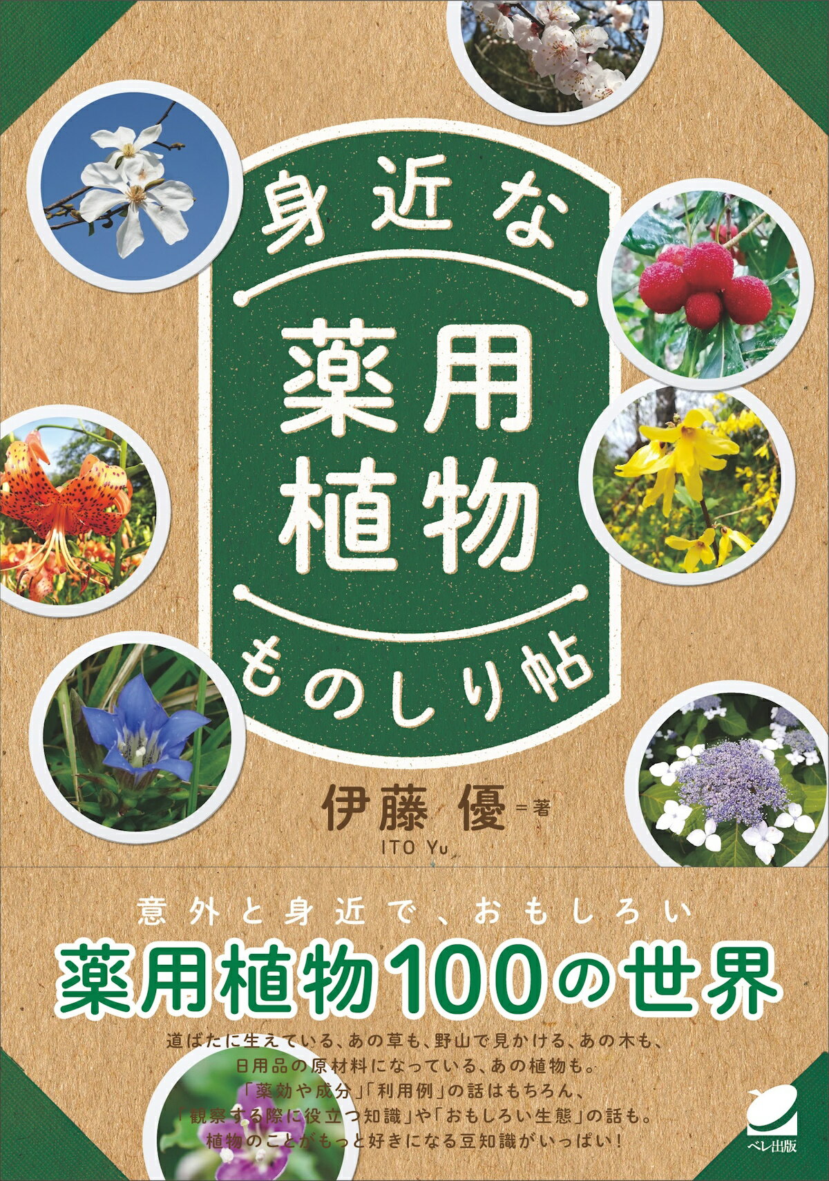 身近な薬用植物ものしり帖/ベレ出版/伊藤優