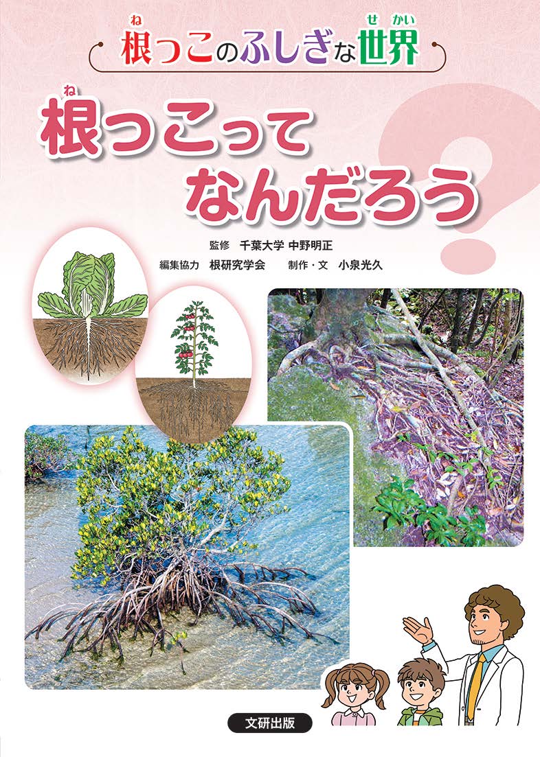 根っこのふしぎな世界　根っこってなんだろう？ 図書館用堅牢製本図書/文研出版/中野明正