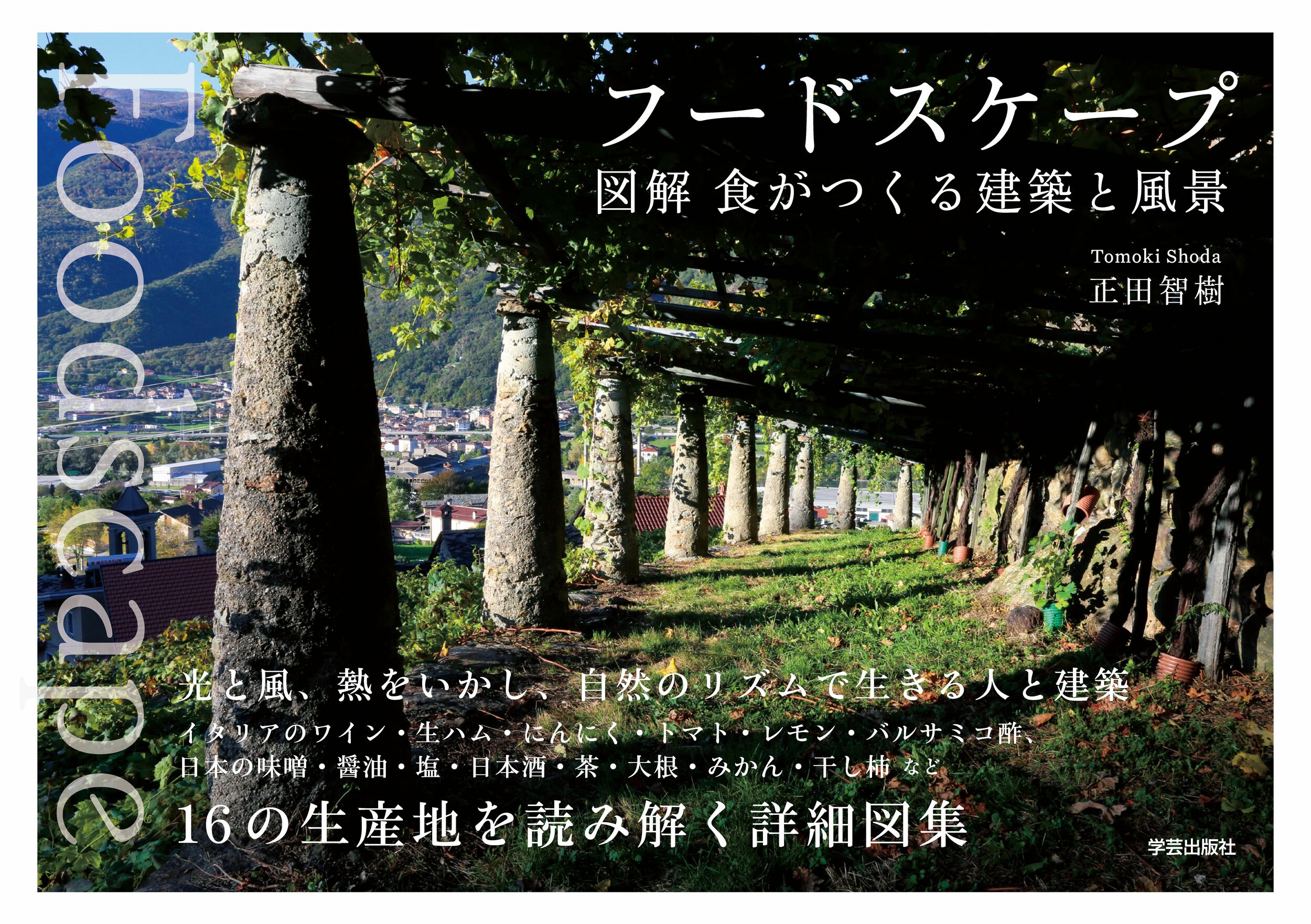 フードスケープ 図解食がつくる建築と風景/学芸出版社（京都）/正田智樹