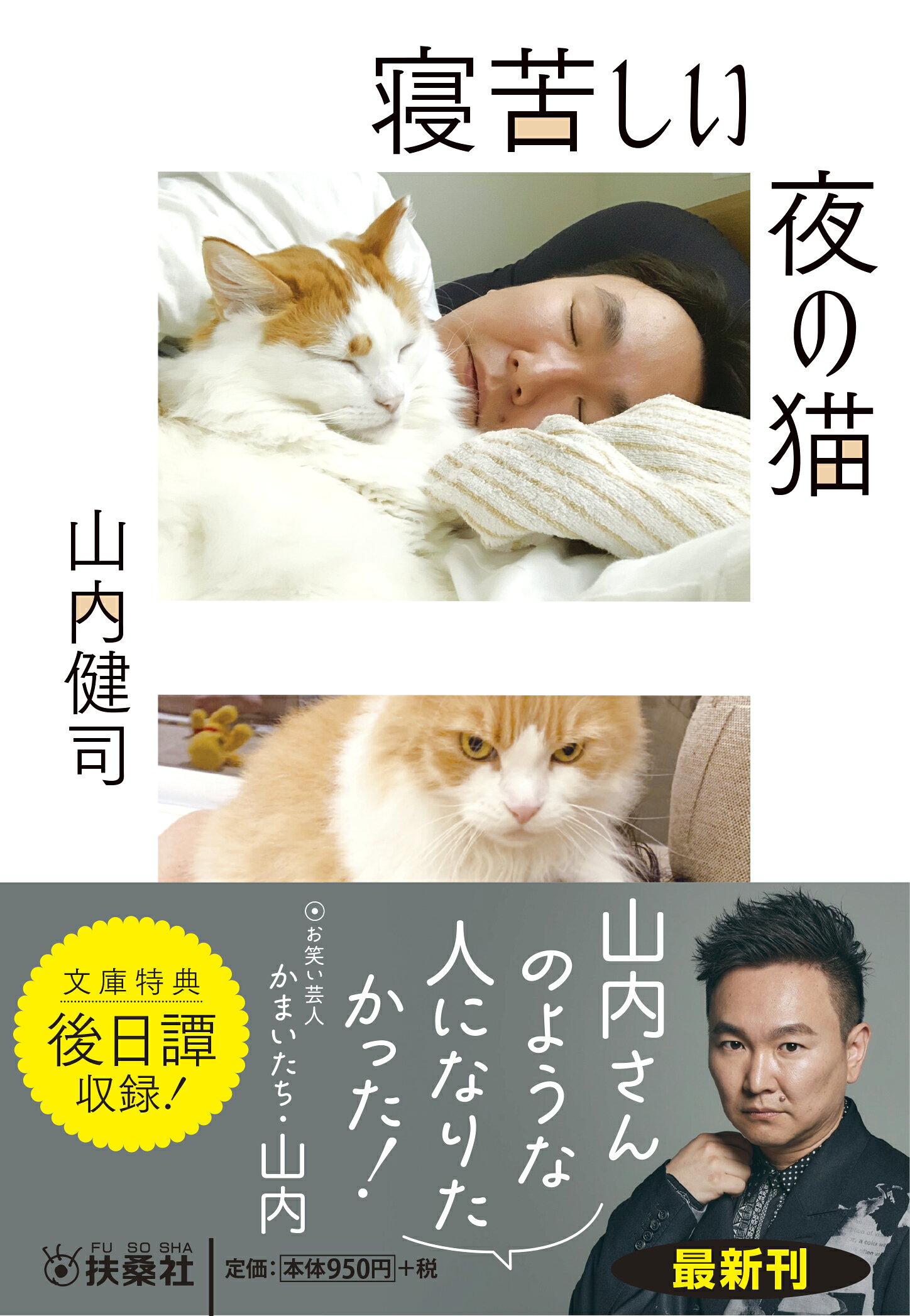 寝苦しい夜の猫(山内健司)