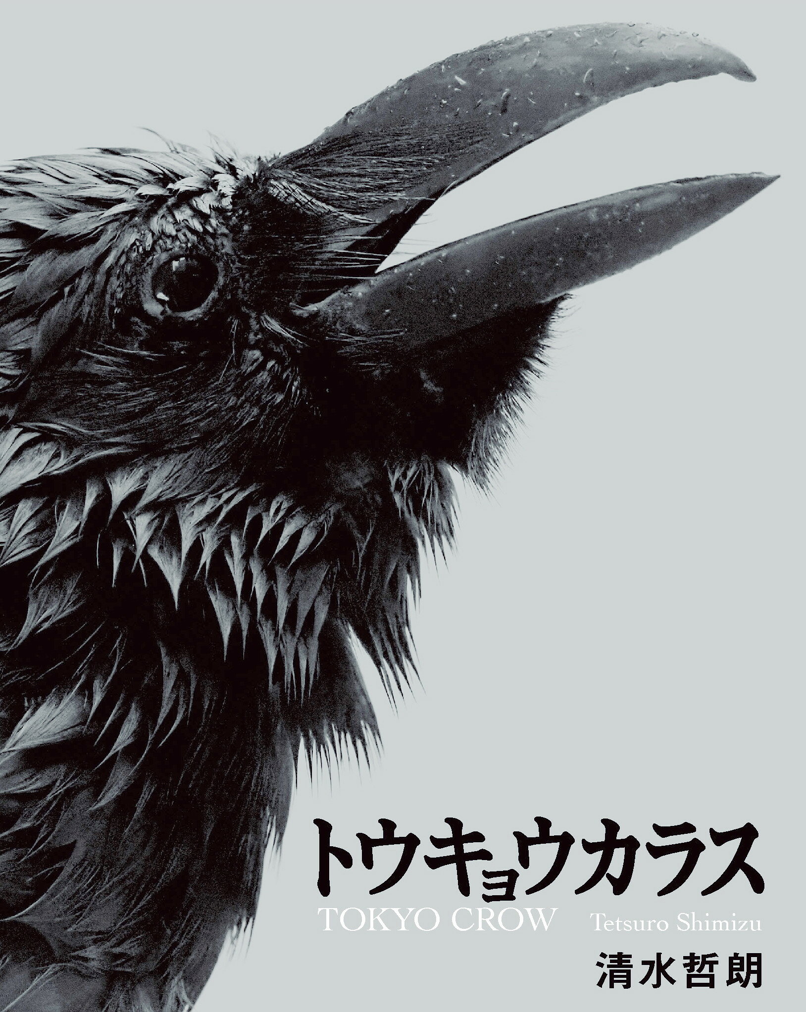 【中古】 幸せの森のふくろう/リベラル社/福田幸広 楽天市場】星雲社 幸せの森のふくろう/リベラル社/福田幸広 | 価格比較