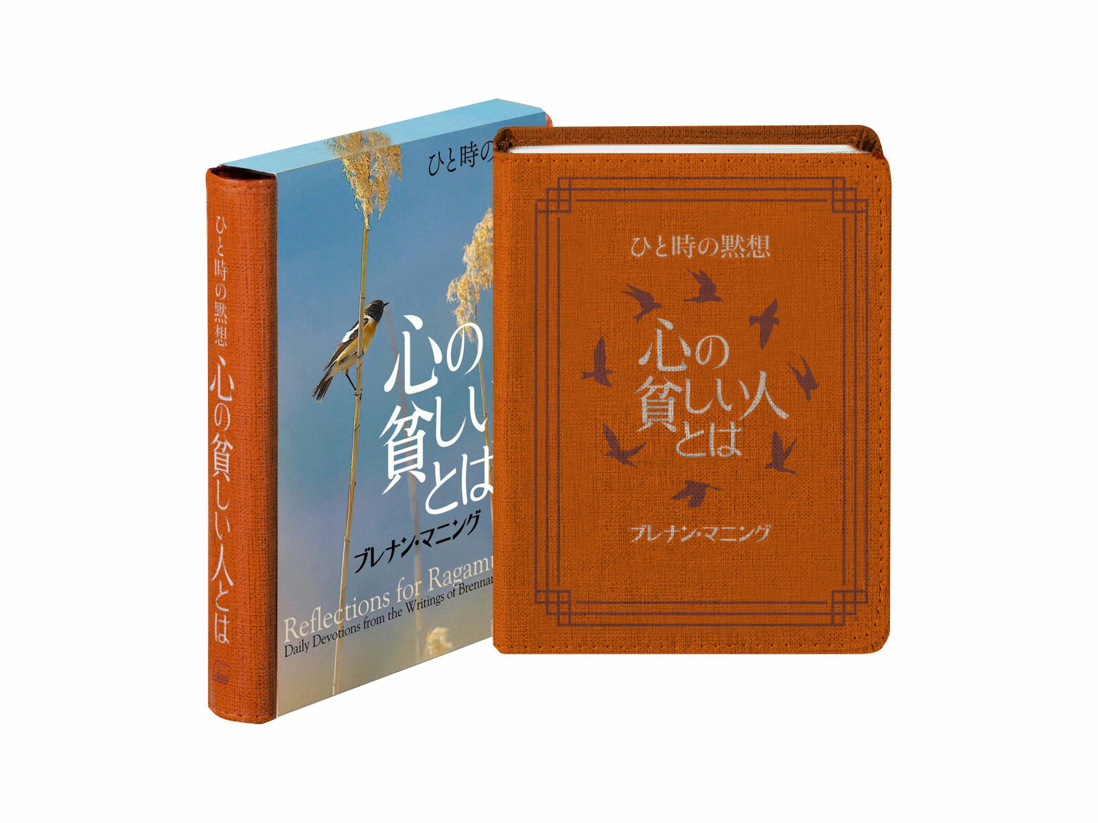 楽天市場】いのちのことば社 新聖書辞典 新装版/いのちのことば社/泉田