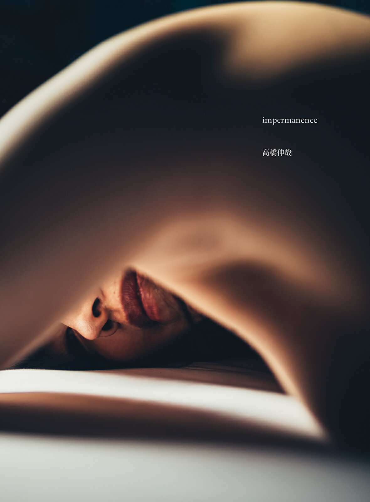 高橋伸哉写真集　ｉｍｐｅｒｍａｎｅｎｃｅ/玄光社/高橋伸哉