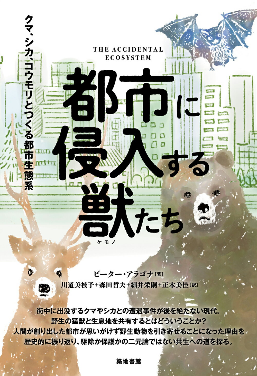 楽天市場】昆虫文献六本脚 世界のアゲハチョウ図説