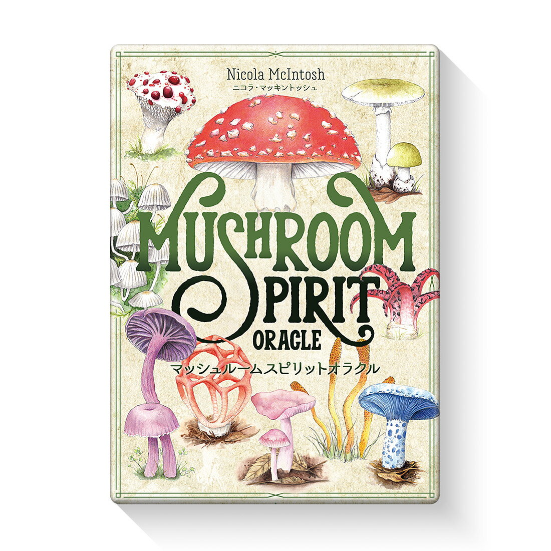 マッシュルームスピリットオラクル/ＪＭＡ・アソシエイツステップワ-クス事業/ニコラ・マッキントッシュ