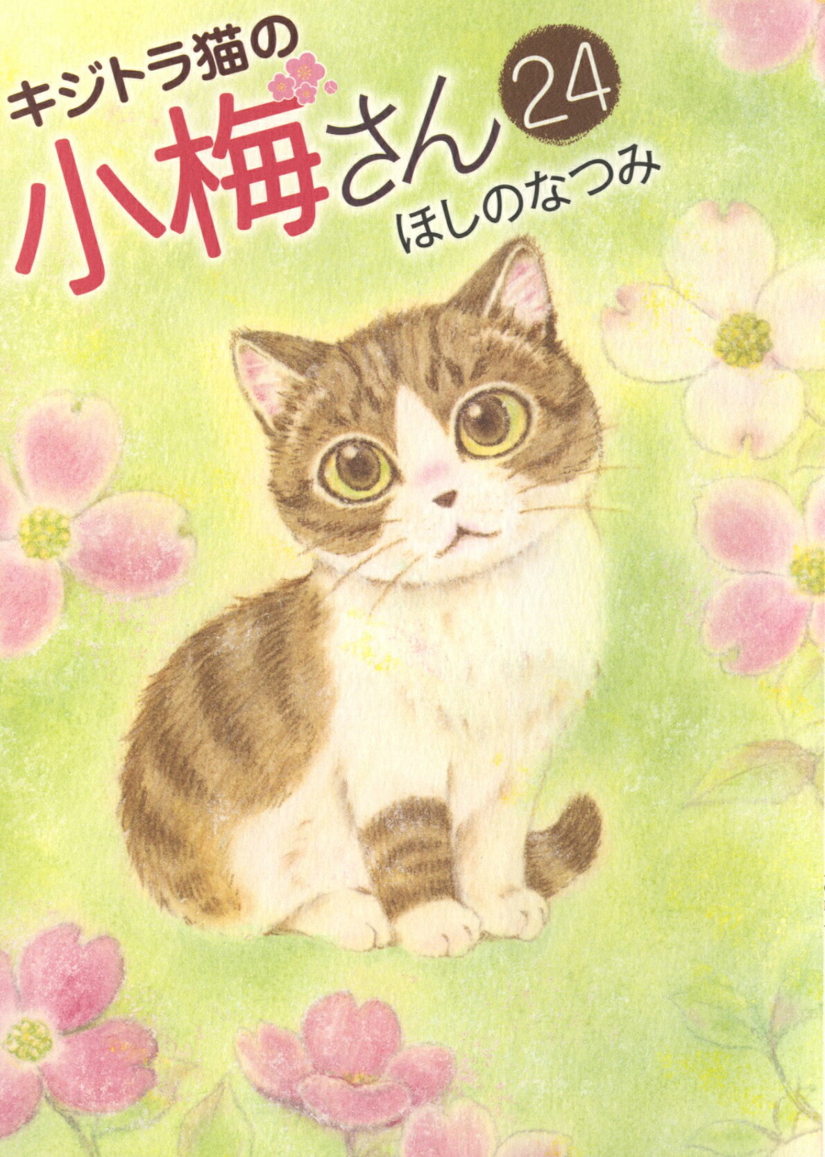 キジトラ猫の小梅さん ２４/少年画報社/ほしのなつみ
