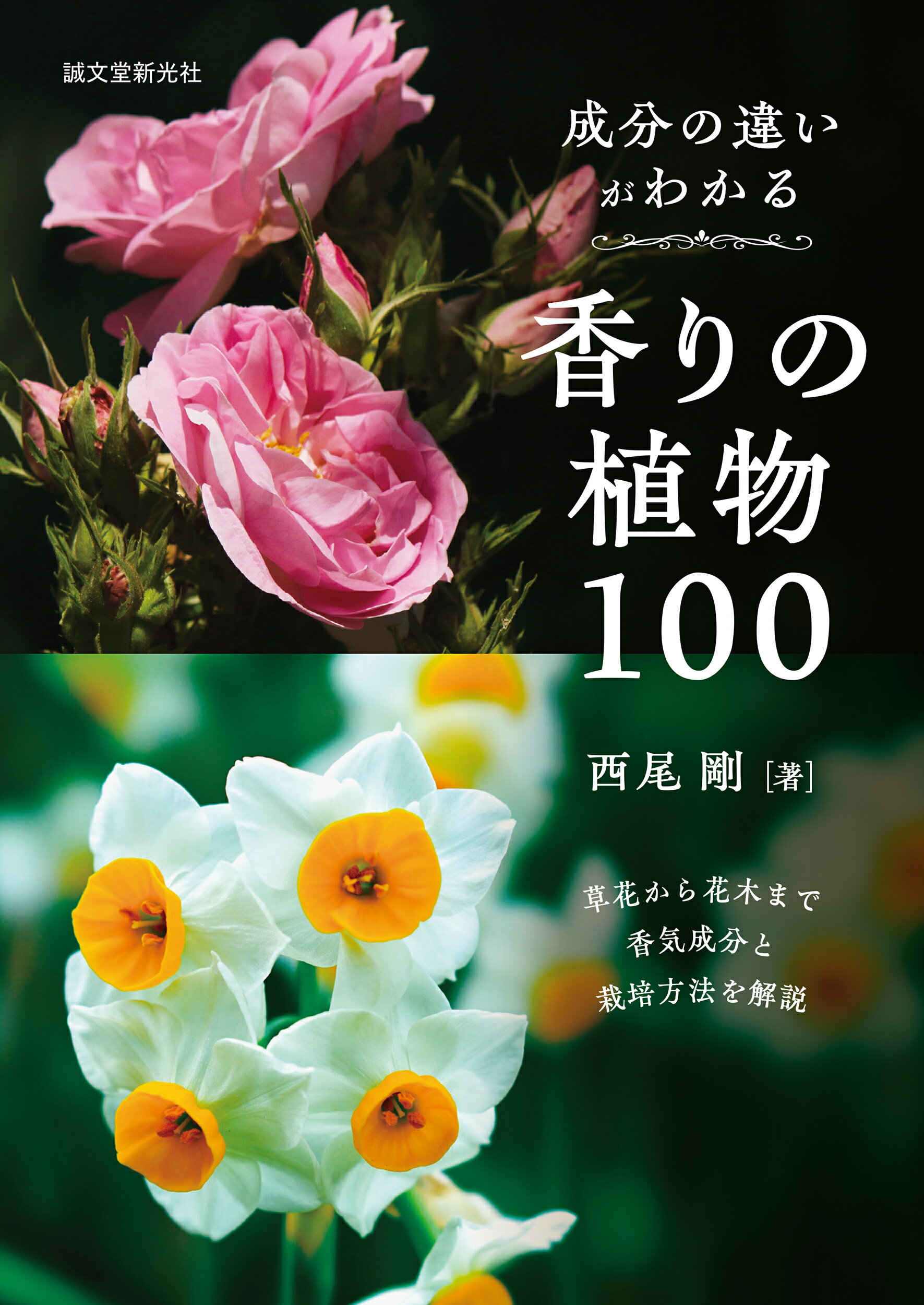 楽天市場】海游舎 蜂からみた花の世界 四季の蜜源植物とミツバチからの