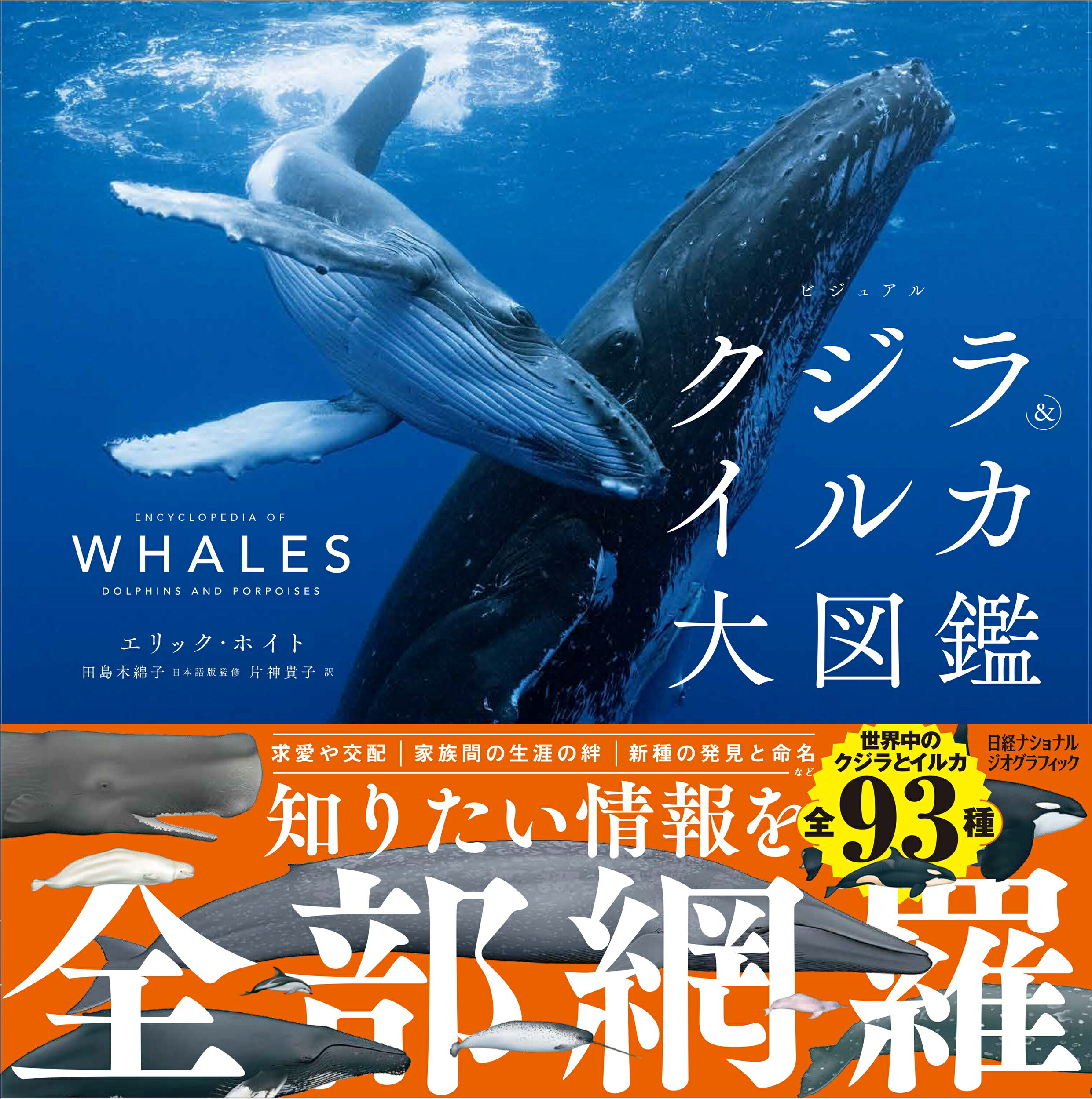 ビジュアル　クジラ＆イルカ大図鑑/日経ナショナルジオグラフィック社/エリック・ホイト