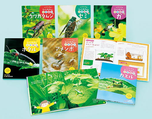 つぼみ・たね・はっぱ・・・しょくぶつ　これ、なあに？（全７巻セット） 図書館用特別堅牢製本図書/ポプラ社/斎木健一（単行本） 楽天市場】ポプラ社 つぼみ・たね・はっぱ・・・しょくぶつ これ