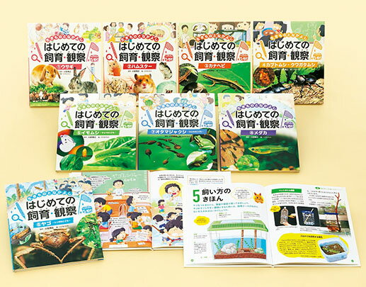 つぼみ・たね・はっぱ・・・しょくぶつ　これ、なあに？（全７巻セット） 図書館用特別堅牢製本図書/ポプラ社/斎木健一（単行本） つぼみ・たね・はっぱ・・・しょくぶつ これ、なあに？（全7巻