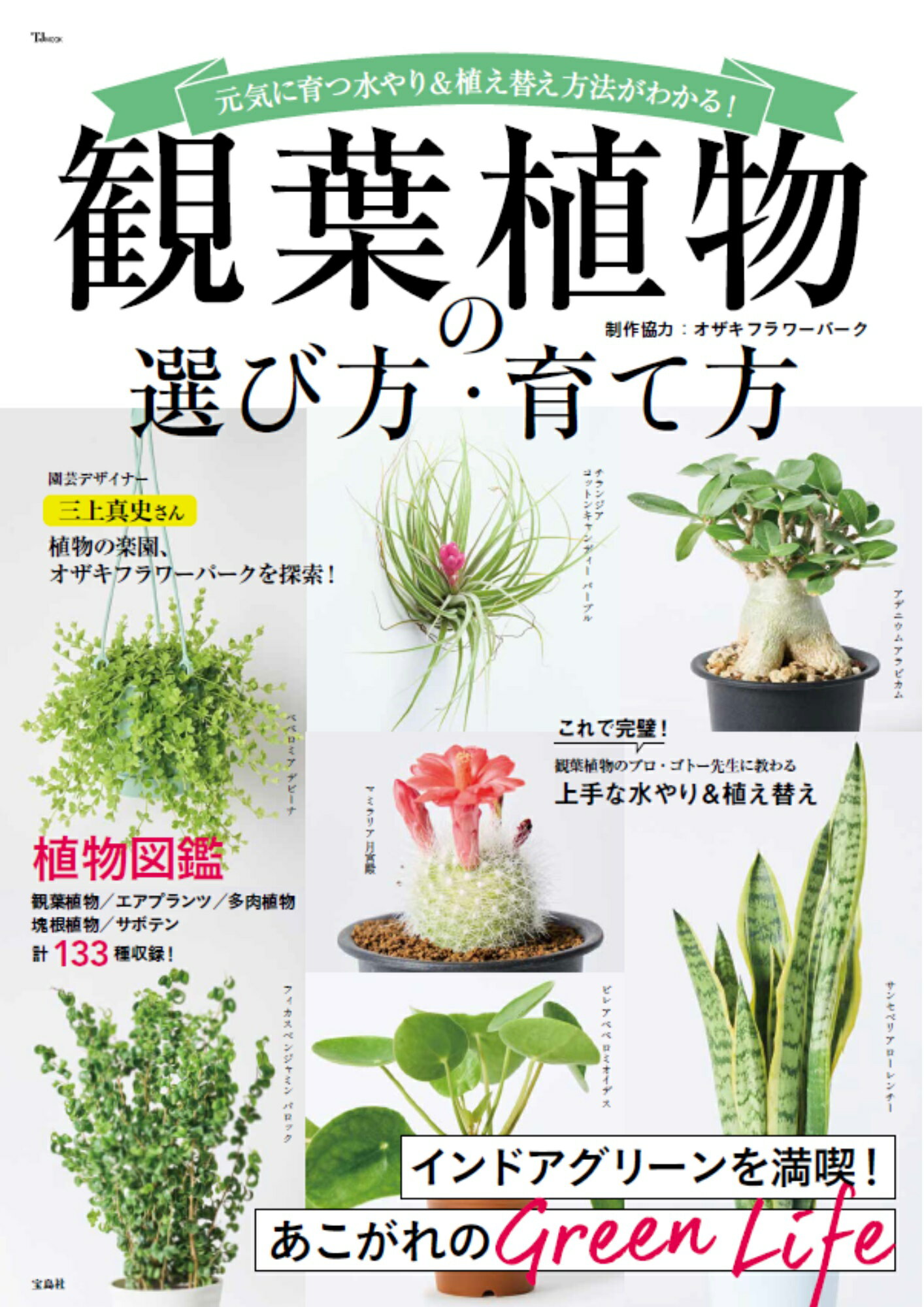 楽天市場】たちばな出版 観葉植物の伝説 グリ-ンインテリア/たちばな