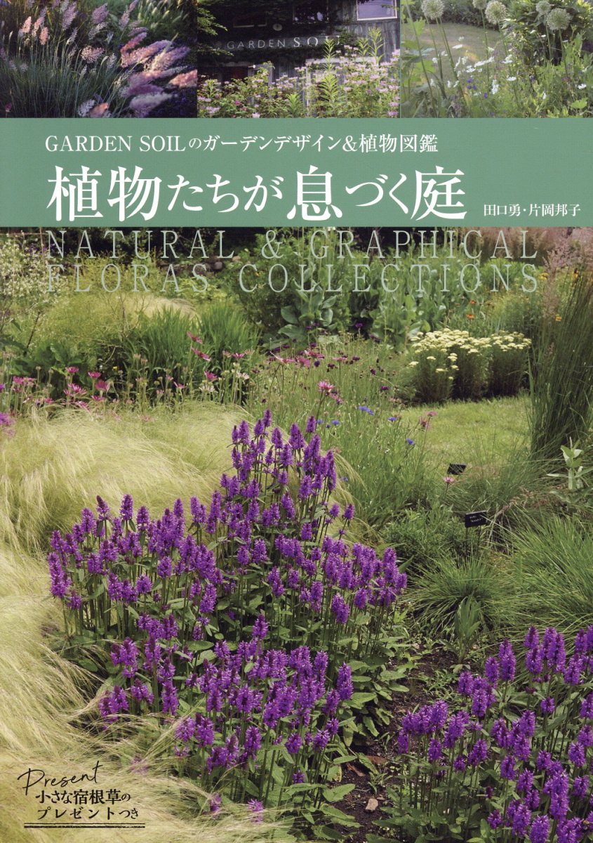 植物たちが息づく庭 ＧＡＲＤＥＮ　ＳＯＩＬのガーデンデザイン＆植物図鑑/エフジ-武蔵/田口勇