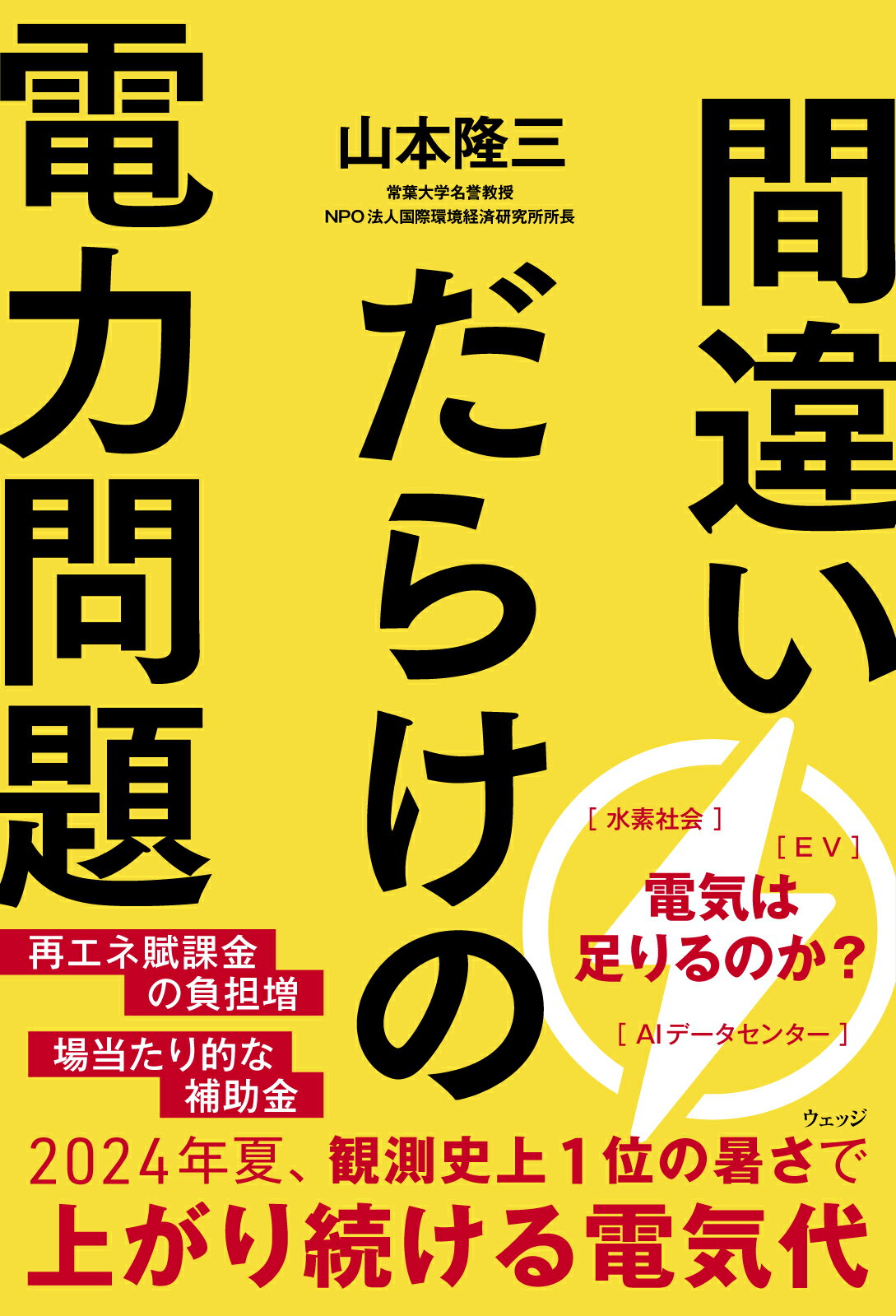 間違いだらけの電力問題/ウェッジ/山本隆三