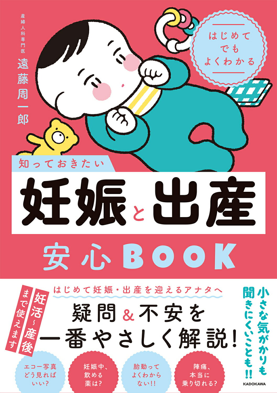 はじめてでもよくわかる　知っておきたい妊娠と出産安心ＢＯＯＫ/ＫＡＤＯＫＡＷＡ/遠藤周一郎